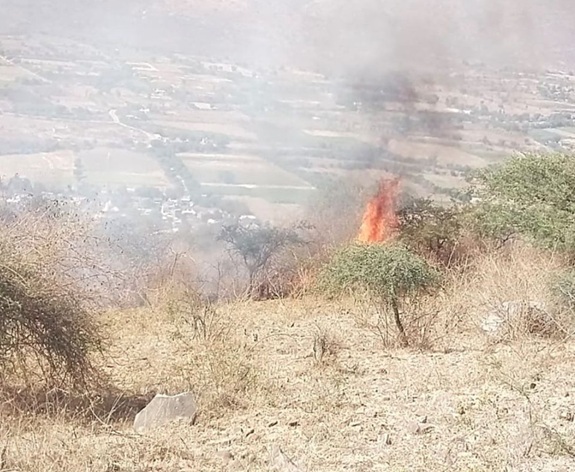 ભાવનગરમાં હસ્તગીરી તીર્થના ડુંગર પર આગ લાગવાની ઘટના