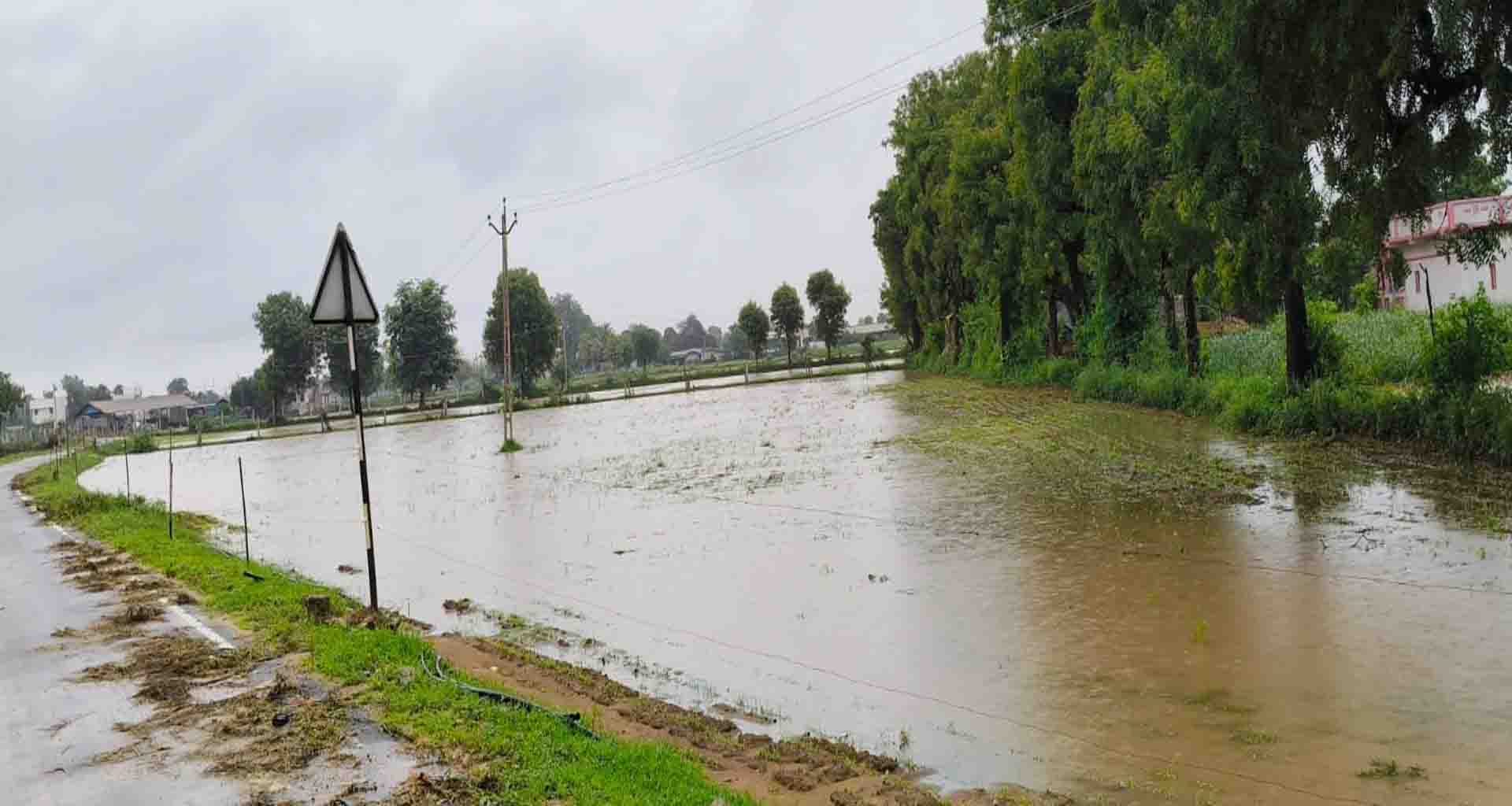 ડીસા તાલુકાના વિસ્તારો અને ખેતરો બેટમાં ફેરવાયા
