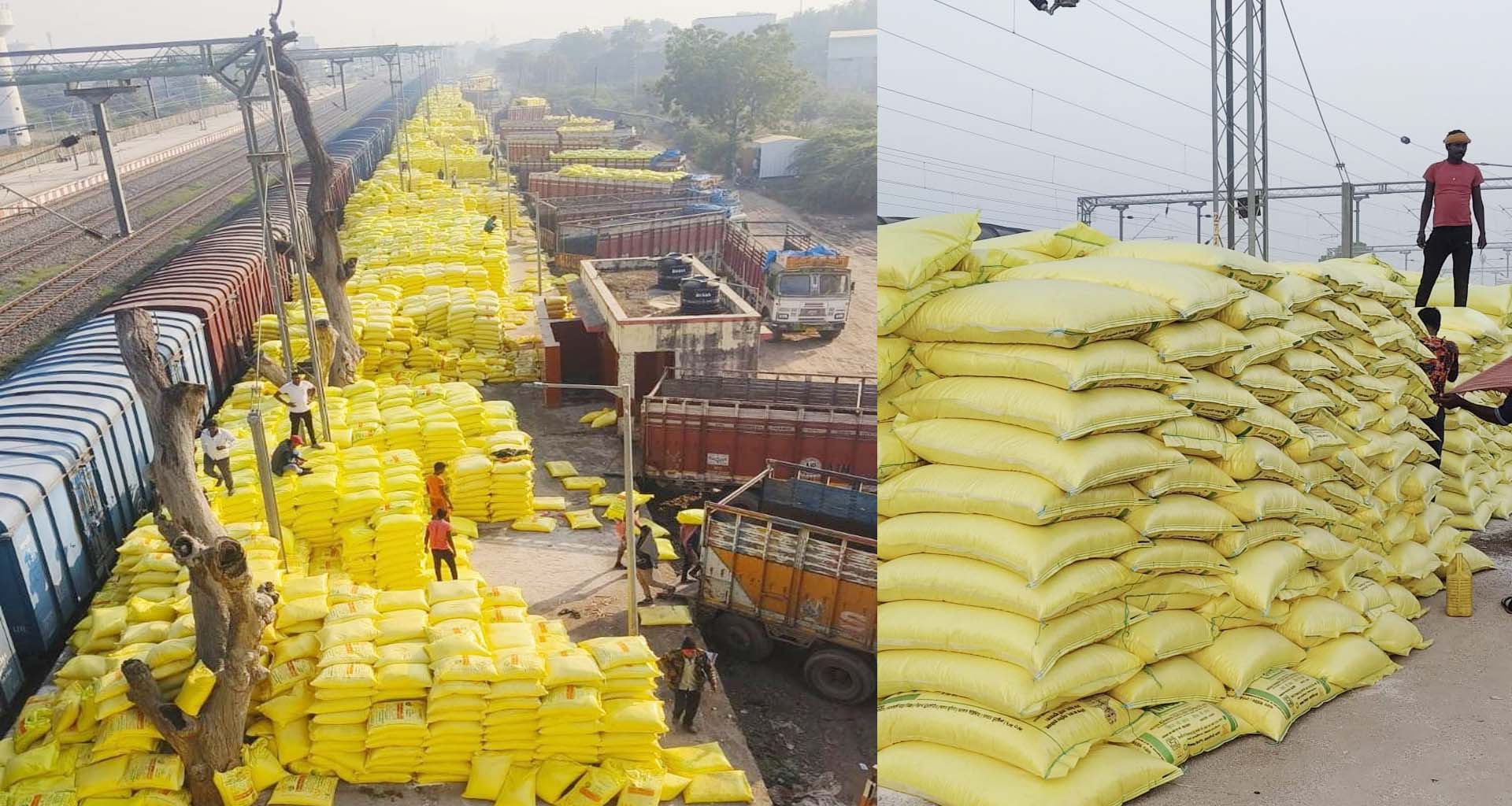 બનાસકાંઠાના ખેડૂતોને રાહત :  જિલ્લાના દરેક તાલુકામાં યુરિયાની વિતરણની કામગીરી શરૂ કરાઈ