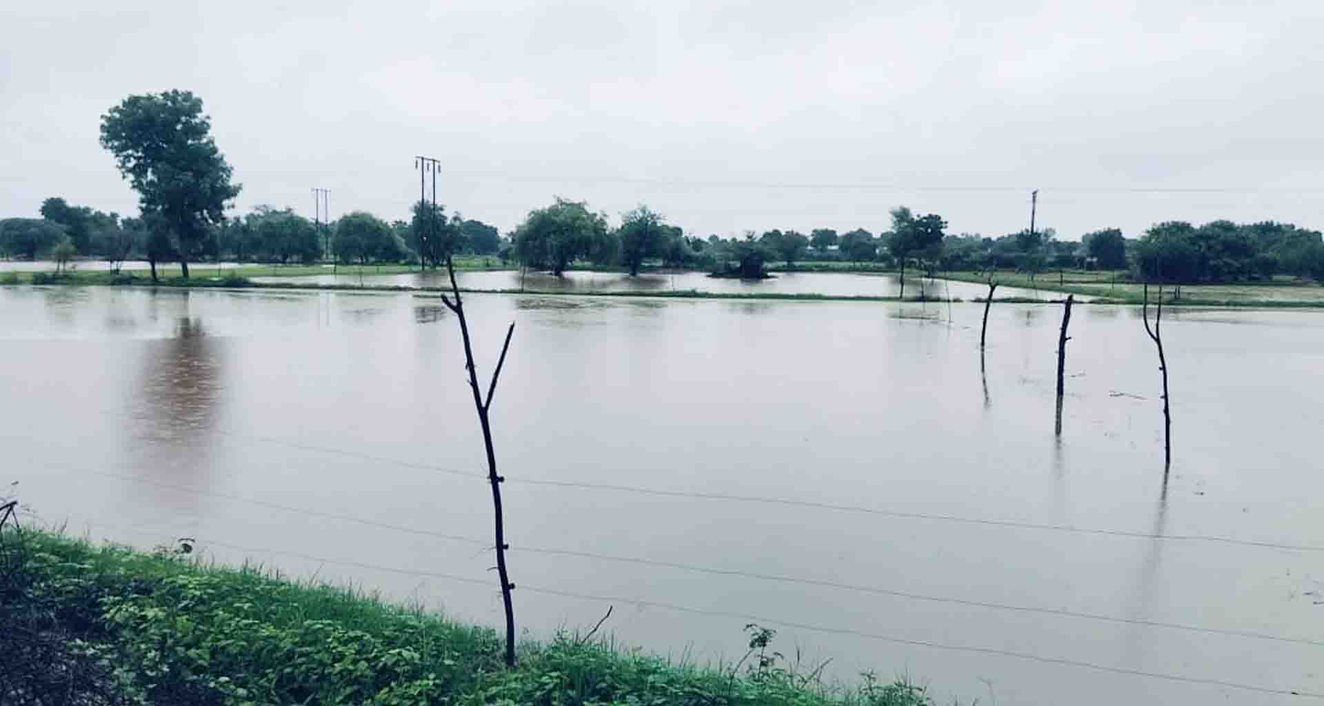 ડીસા તાલુકામાં વરસાદ: ખેતરો જળમગ્ન, પાકને વ્યાપક નુકસાન