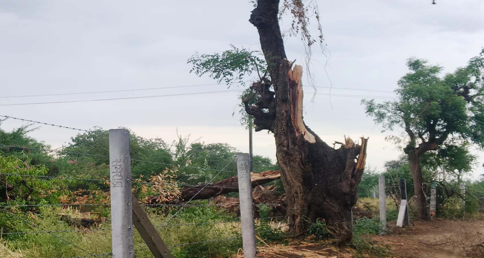 ભીલડી પંથકમાં કુદરતનો પ્રકોપ : વહેલી પરોઢે ફૂંકાયેલા તેજ પવનથી વ્યાપક તારાજી સર્જાઇ