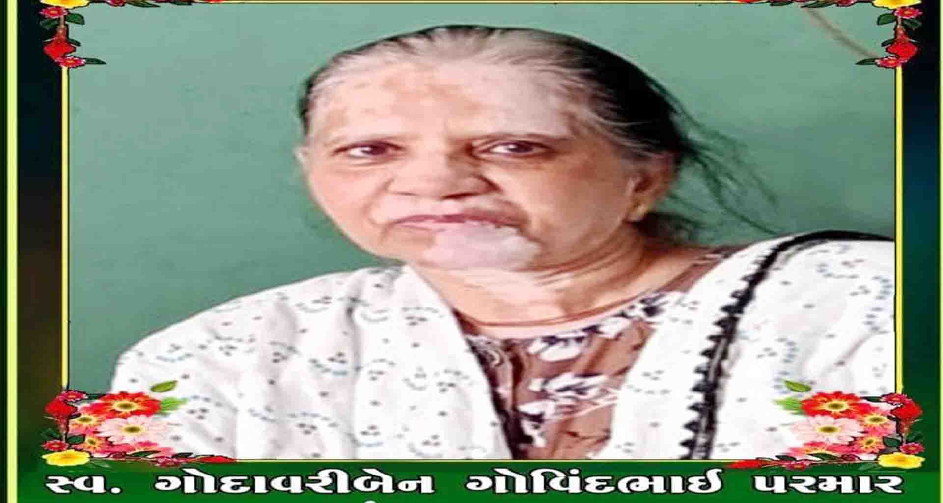 પાટણના વૃંદાવન બંગ્લોઝમાં રહેતી વૃદ્ધ મહિલાને અજાણ્ય શખ્સે ગળે ટુપો આપી મોતને ઘાટ ઉતારતા ચકચાર મચી