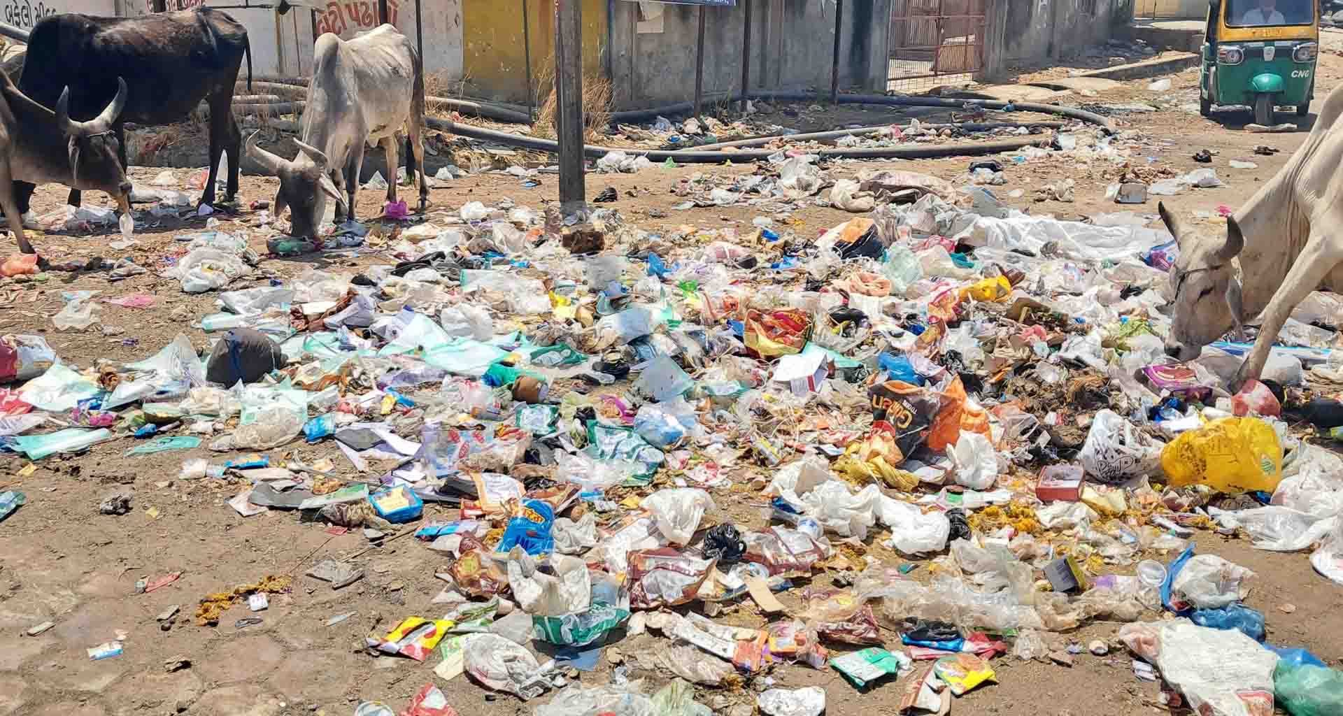 પાલનપુરને પ્લાસ્ટિક મુક્ત કરવાના અભિયાન સામે ઉઠ્યા સવાલો