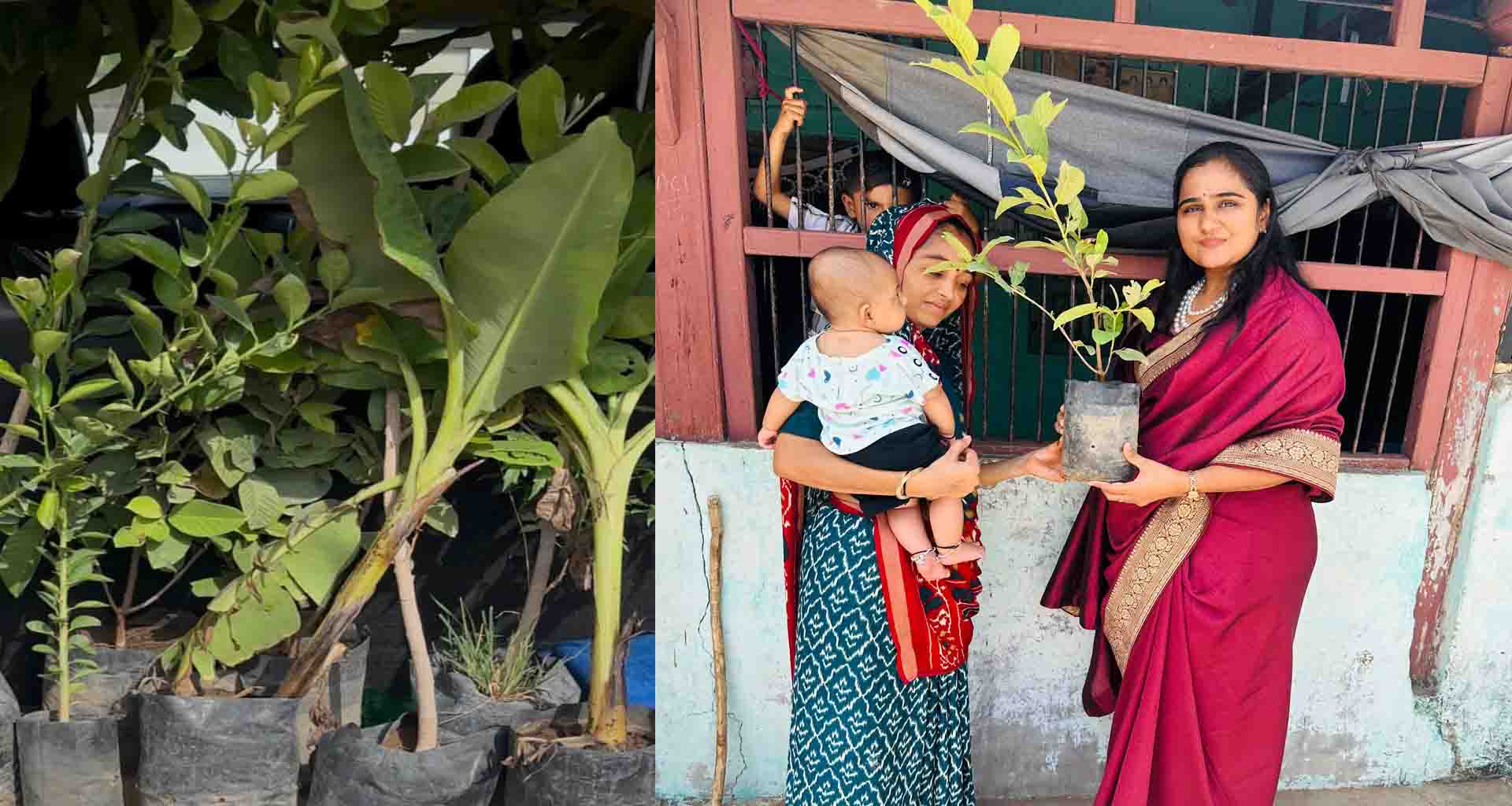 આજે વિશ્વ પર્યાવરણ દિવસ નિમિતે પર્યાવરણનું જતન કરતી એક મહિલાની અનોખી કહાની