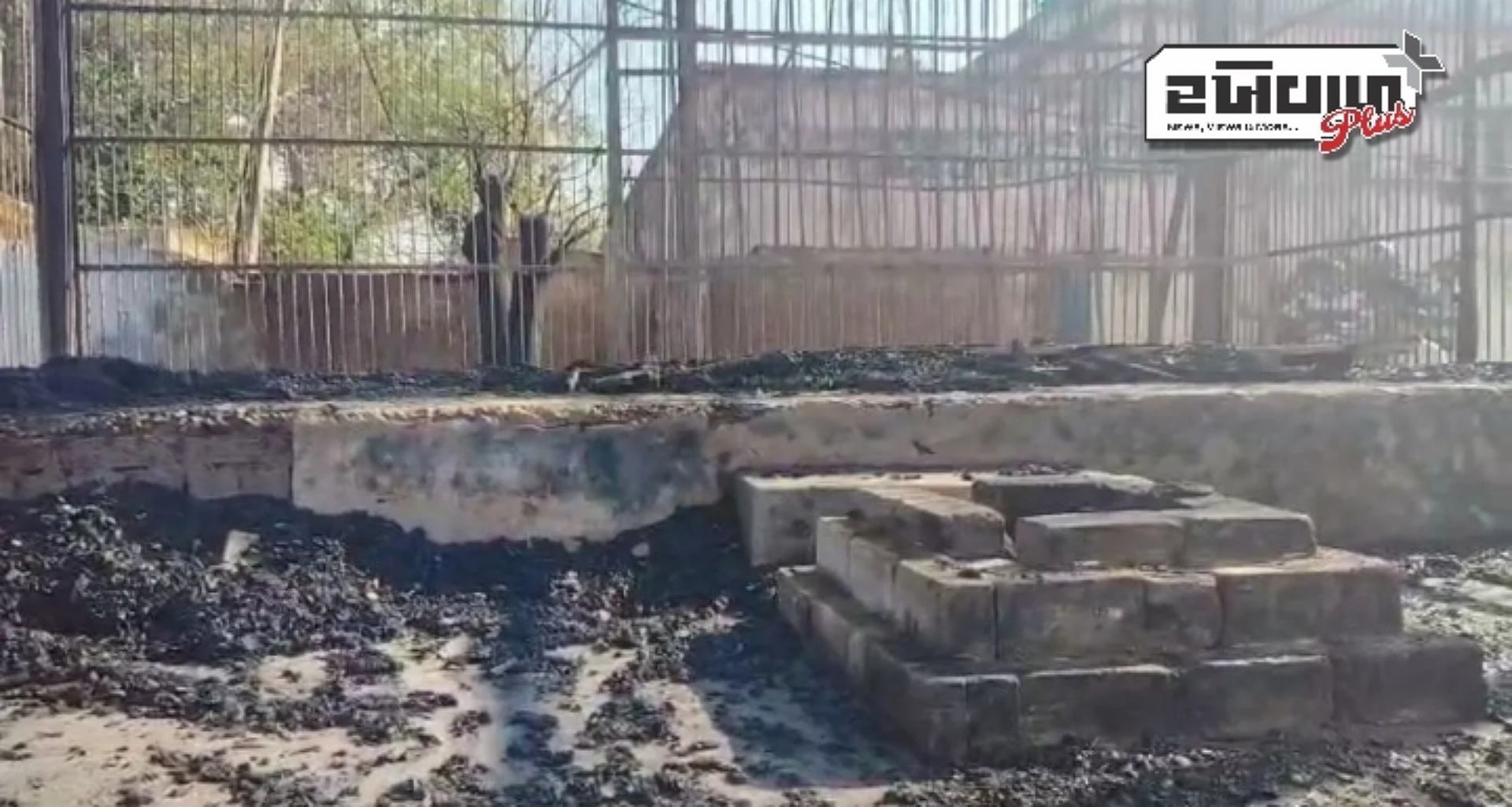 ઓડિશા: દુર્ગા પૂજા પંડાલમાં આગ લાગી, 10 વર્ષનો બાળક જીવતો બળી ગયો