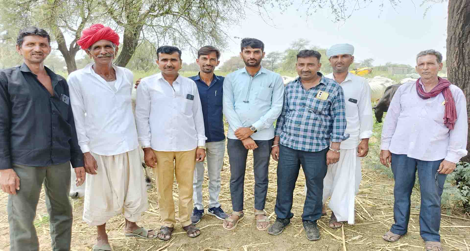 થરાદના પાવડાસણ પંચાયતના ઉમેદવારે ગાયોને લીલો ઘાસચારો ખવડાવી અનોખી સેવા કરી