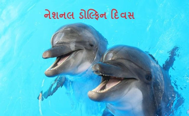 ડોલ્ફિન માટે ગુજરાતનો દરિયો વધુ સુરક્ષિત : રાજ્યના ૪,૦૮૭ ચો.કિ.મી.ના દરિયાઈ વિસ્તારમાં અંદાજે ૬૮૦ ડોલ્ફિનની હાજરી