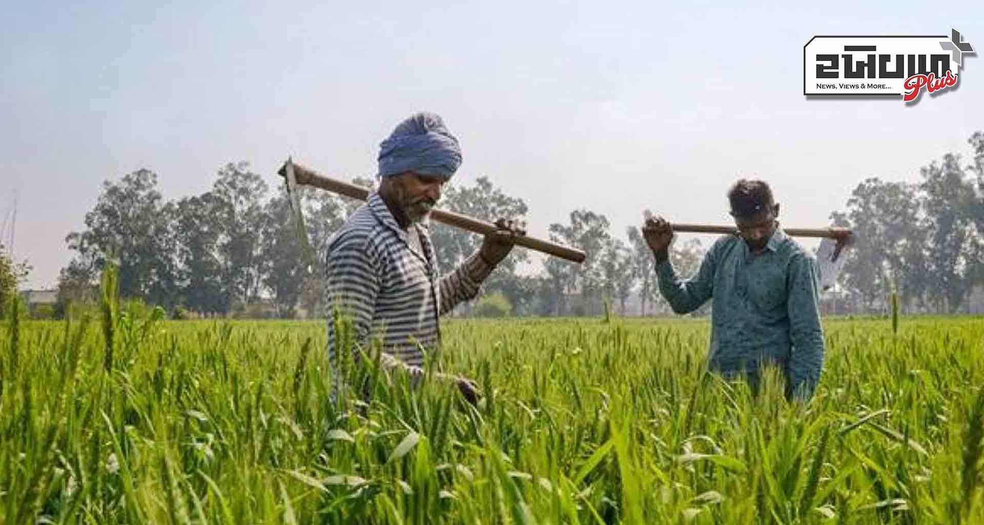 ઇ-કેવાયસી ન કરાવનાર ખેડૂતોને પીએમ કિસાન સન્માન નિધિનો લાભ નહીં મળે