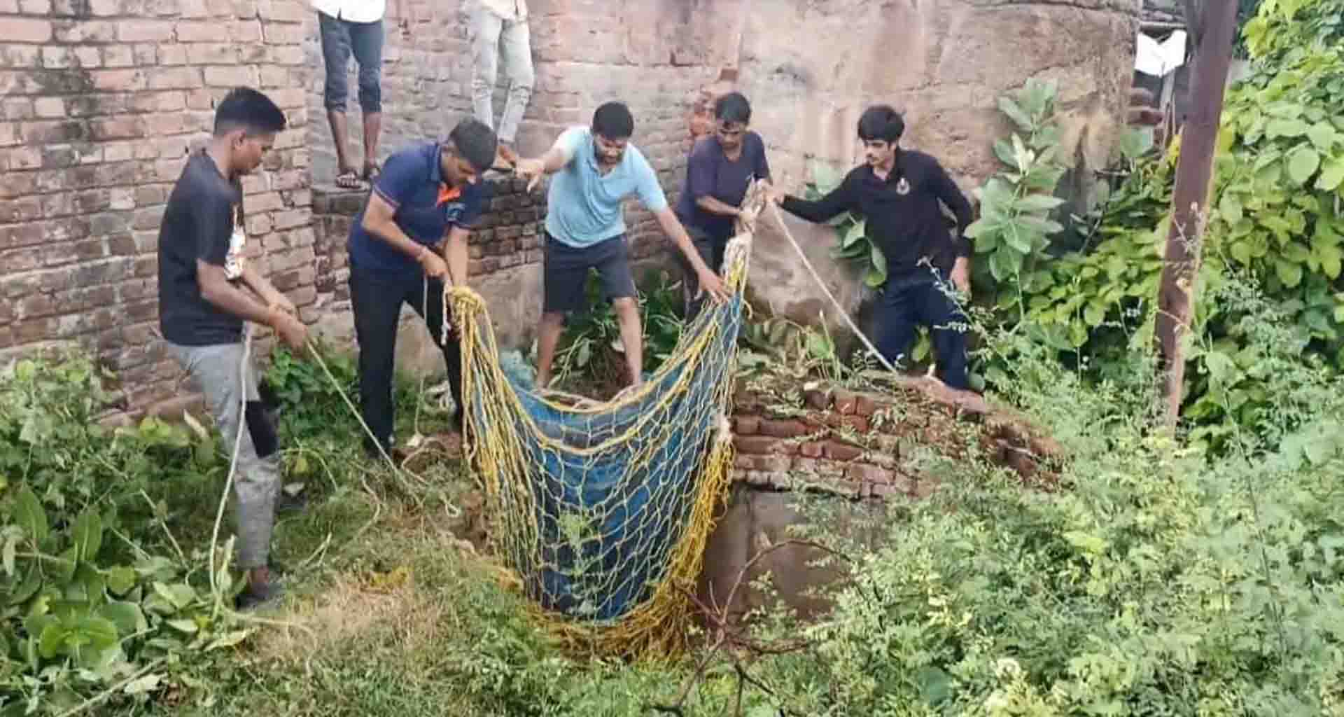 પાટણ; બોરના 50 ફુટ ઉડા કુવામાં બે થી વધુ સ્વાન પડતાં ફાયર ટીમે રેસ્ક્યુ કરી બહાર કાઢયા