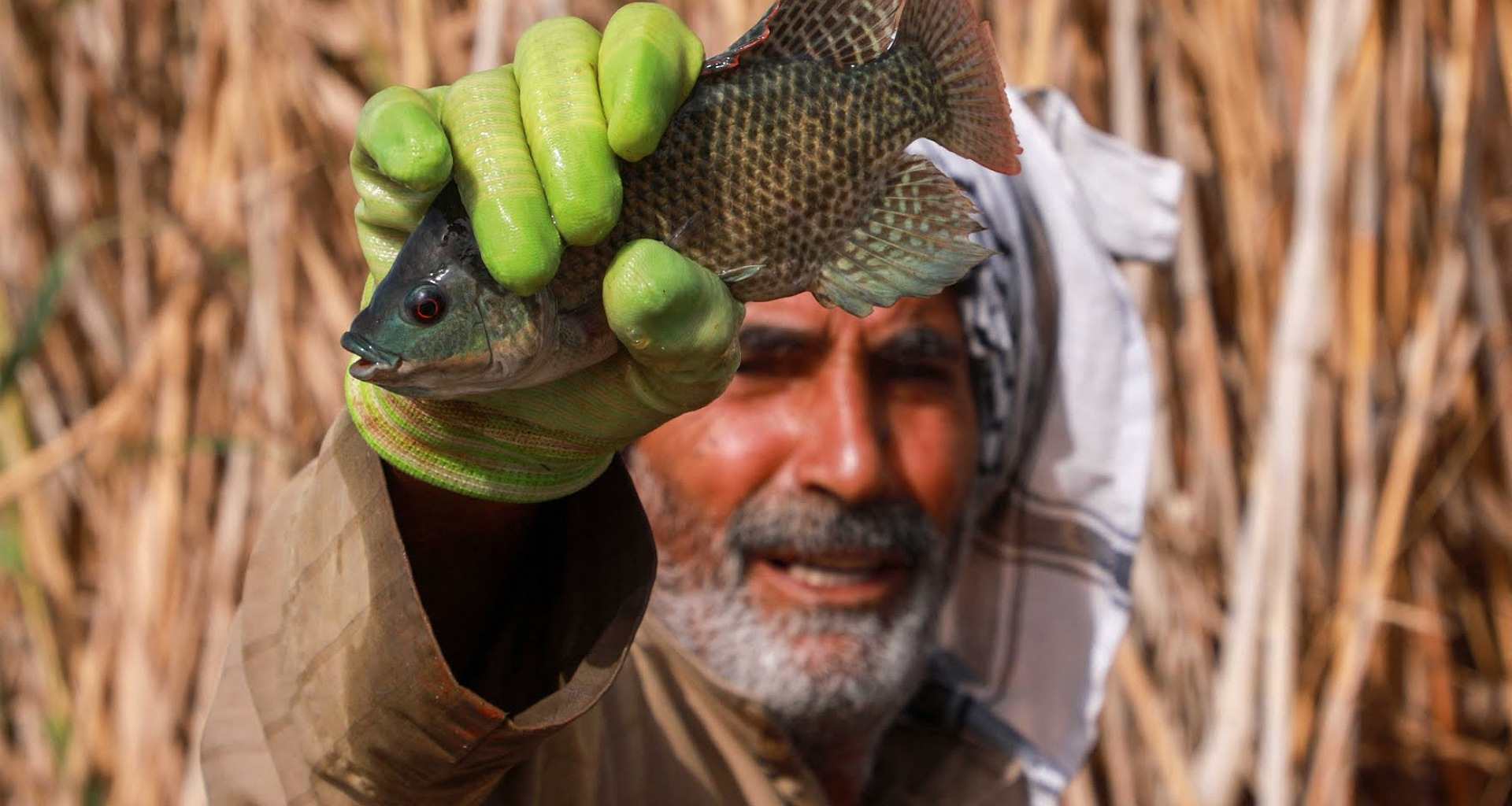 'આપણા કળણને એકલા છોડી દો': ઈરાકીઓ કલ્પિત ભીના મેદાનોમાં તેલ ખોદકામ સામે ઉભા થયા