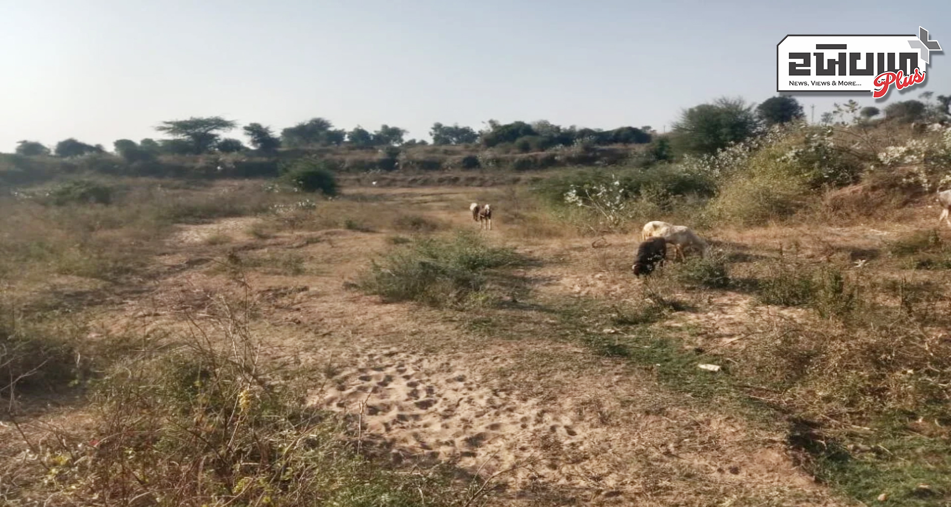 પાલનપુરમાં તળાવોના દબાણો દૂર કરવાની માંગ : તળાવમાં પાણી નાંખવાની યોજના દબાણોને કારણે નિષ્ફળ નીવડે તેવી સંભાવના