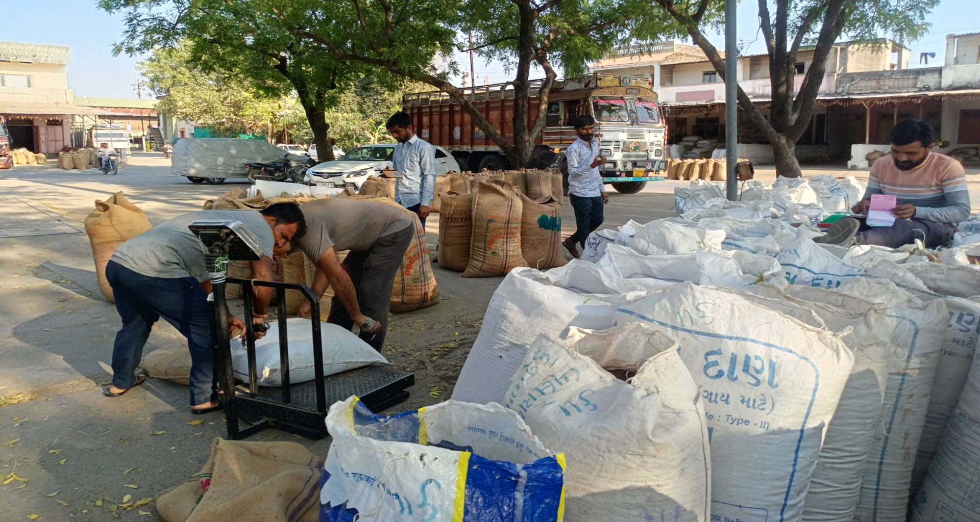 નવી જણસીની આવક : ડીસા માર્કેટયાર્ડમાં રાયડા રાજગરા સાથે ચણાની બમ્પર આવક