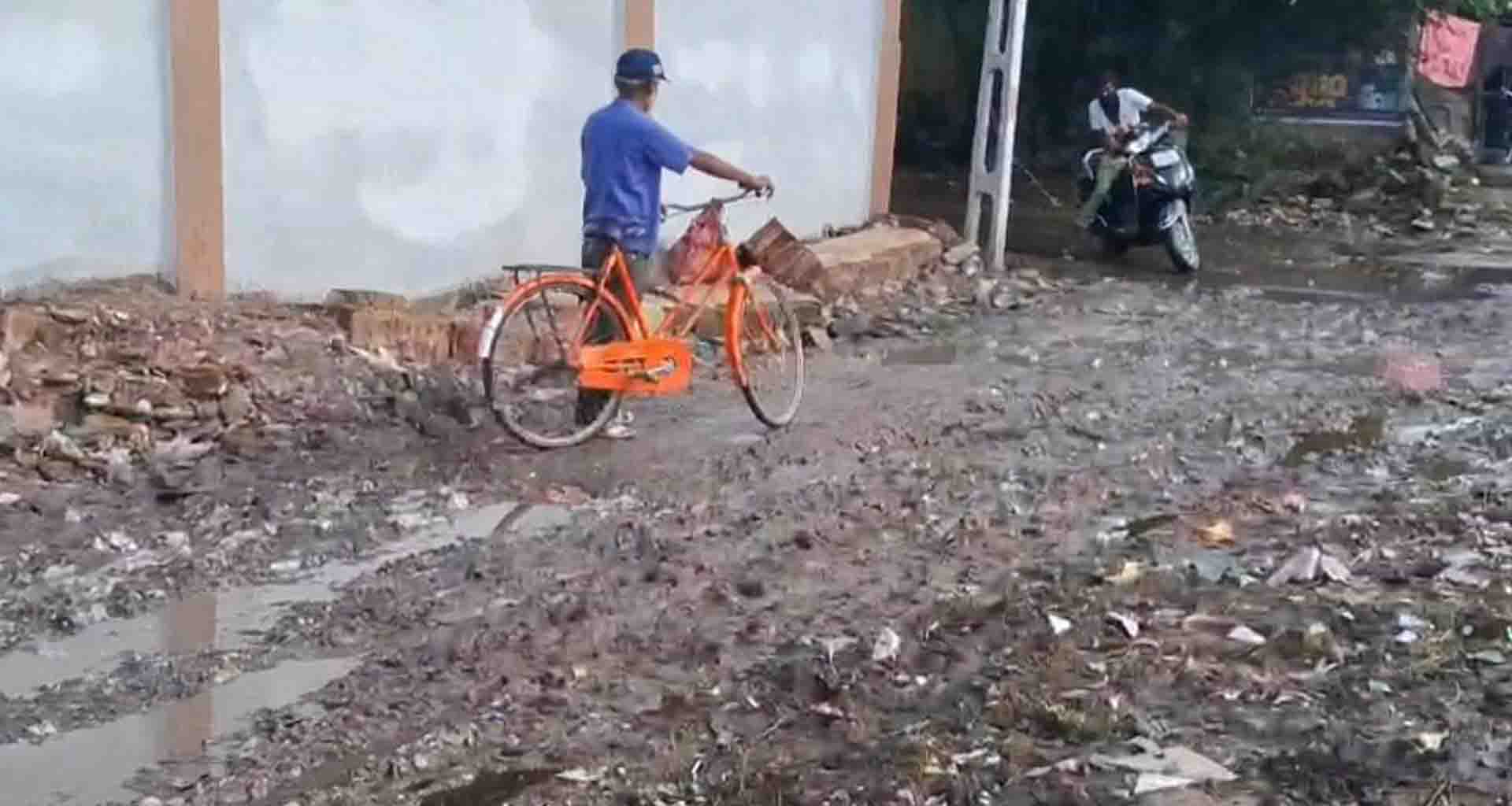 ભાજપ શાસિત પાટણ પાલિકાની બેદરકારીના કારણે શ્રમજીવી વિસ્તારની હાલત નકૉગાર બની