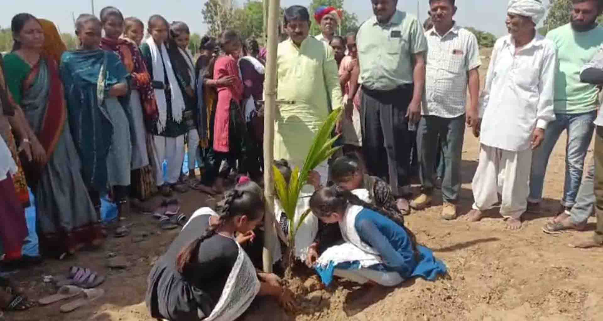 પાટણ જિલ્લામાં પ્રાકૃતિક ખેતીને વેગ મળે તેવા ઉદેશથી ડેર ગામના ખેડૂતે નારિયેળી નું વાવેતર કર્યુ