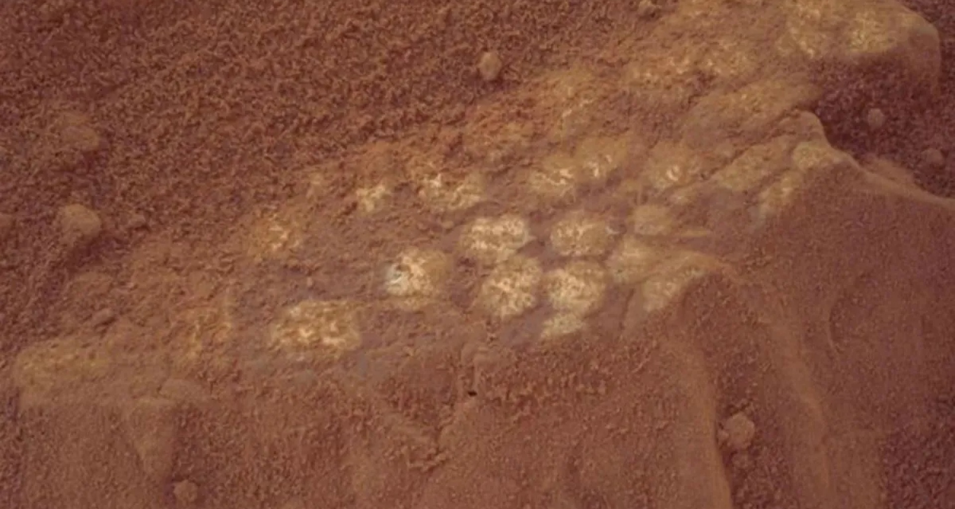 નાસાના રોવરે મંગળ પર 'ડાયનાસોરના ઇંડા' જેવી વિચિત્ર રચના શોધી, જીવનના સંકેતોએ મચાવી દીધી હલચલ