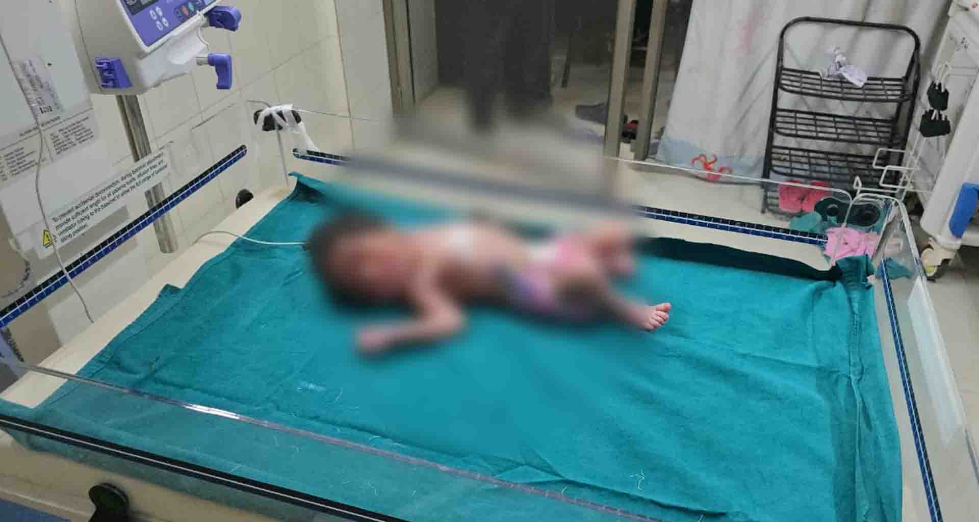 ડીસા નજીક વરણ ગામની સીમની ઝાડીઓમાંથી જીવંત નવજાત શિશુ મળી આવતા ચકચાર