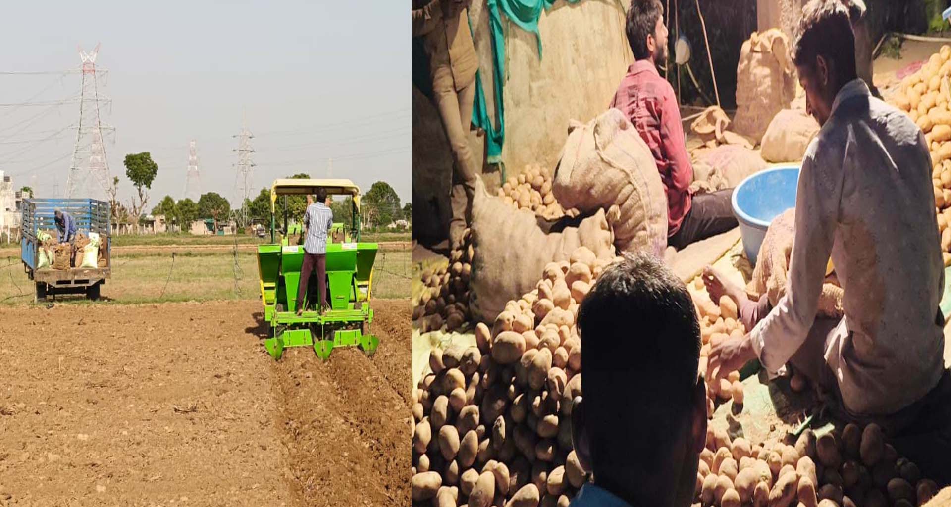 બનાસકાંઠા જિલ્લામાં રવિ સિઝનની વાવેતરની કામગીરી પૂરજોશમાં શરૂ