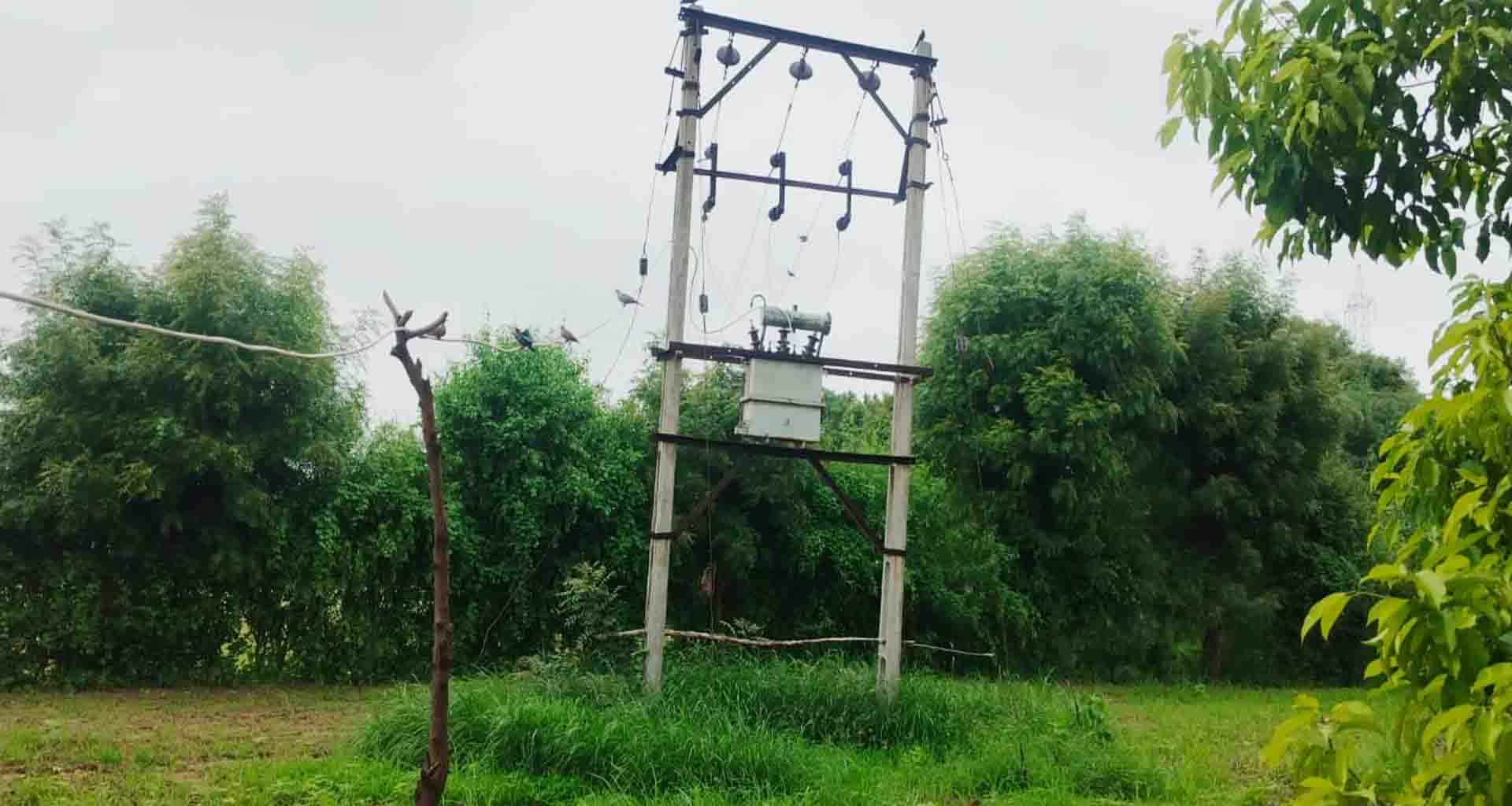 વાવના ધરાધરા ગામે વીજ કરંટથી એક જ પરિવારના ત્રણના મોત