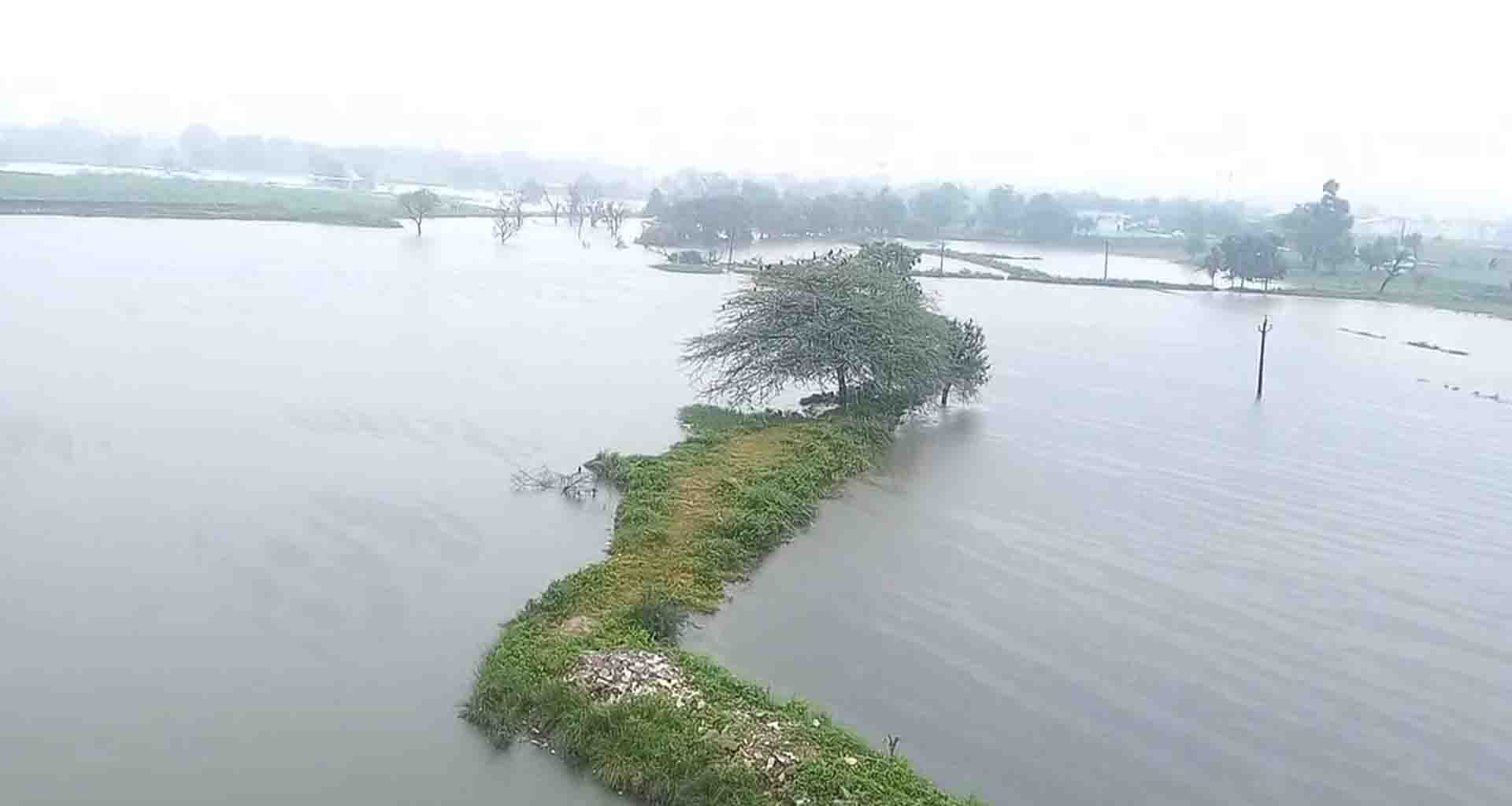 પાલનપુરમાં ભારે વરસાદને પગલે ગોબરી તળાવ ઓવરફ્લો