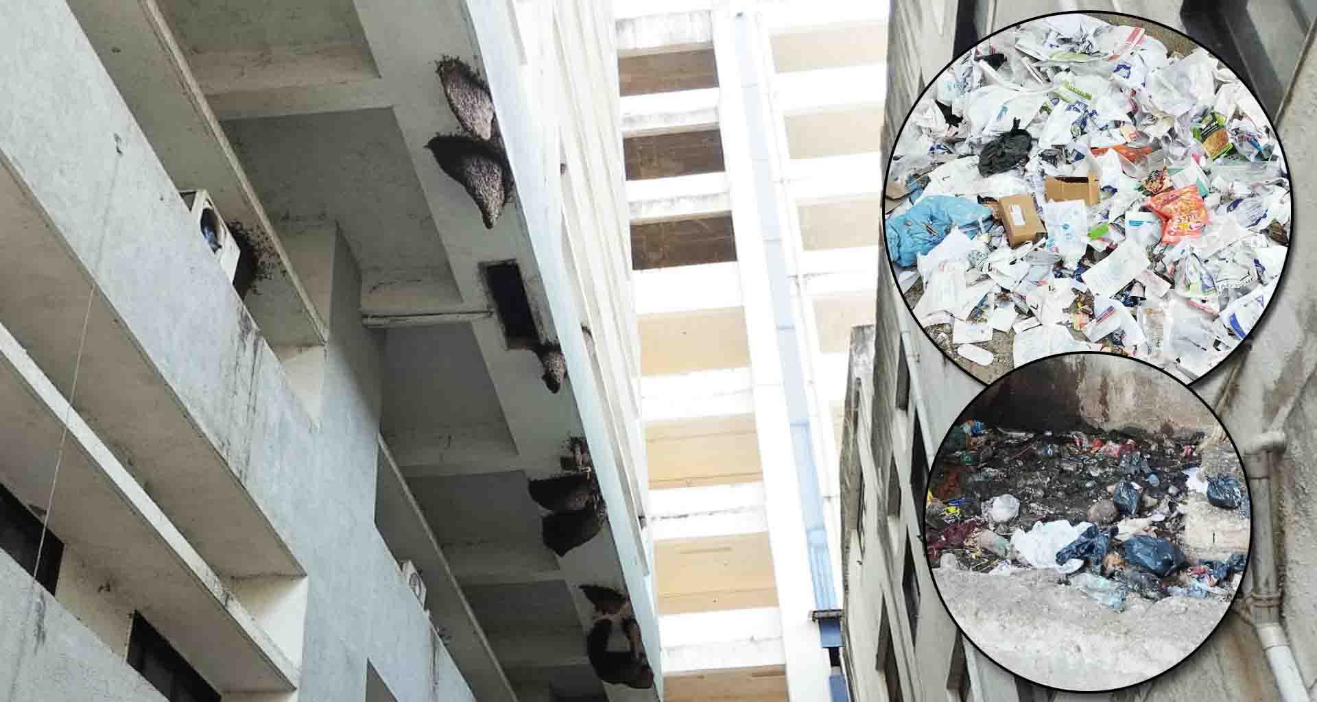 વડનગરની જનરલ હોસ્પિટલના કમ્પાઉન્ડ ગંદકી અને કચરાનું સામ્રાજ્ય મધપૂડાના લીધે દર્દીઓમાં ભય