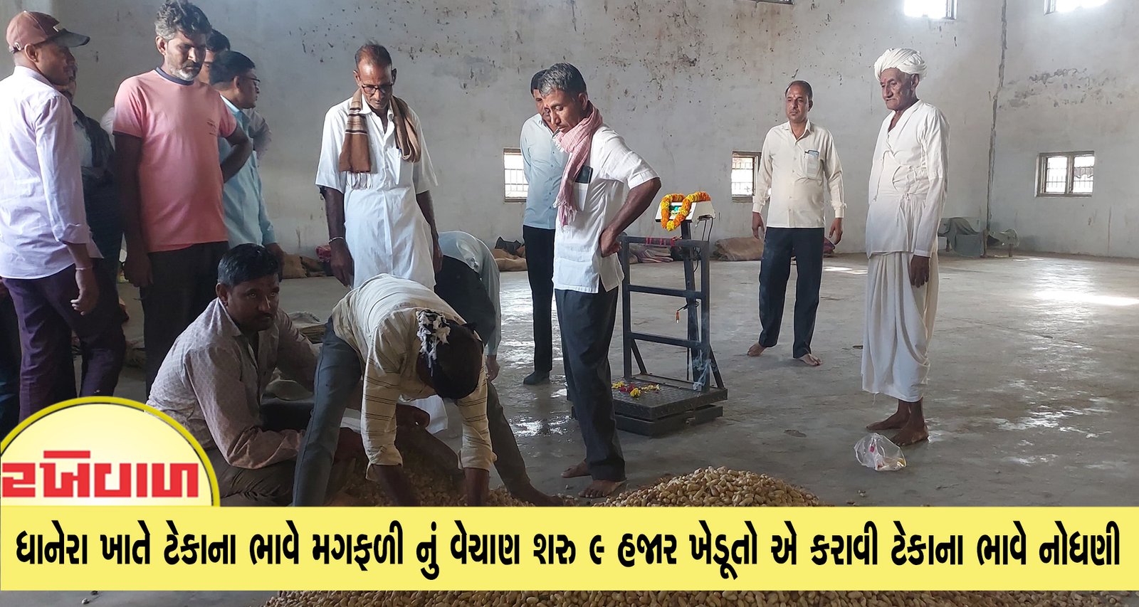 ધાનેરા ખાતે  ટેકાના ભાવે મગફળી નું વેચાણ શરુ 9 હજાર ખેડૂતો એ કરાવી ટેકાના ભાવે નોધણી