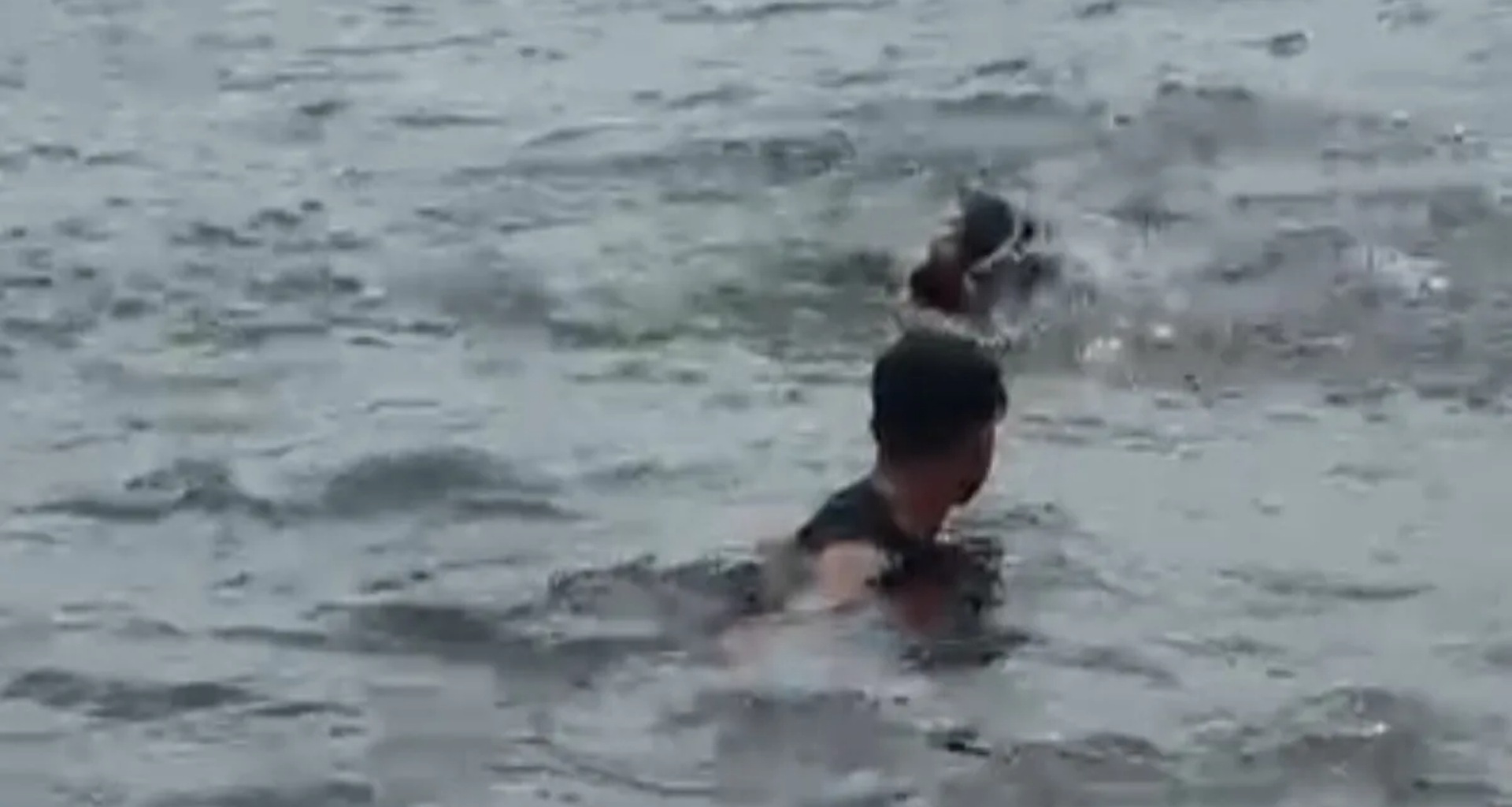 પાર્ટી ઉજવવા ગયેલા યુવકનું મિત્રોની સામે ડેમમાં ડૂબી જવાથી મોત