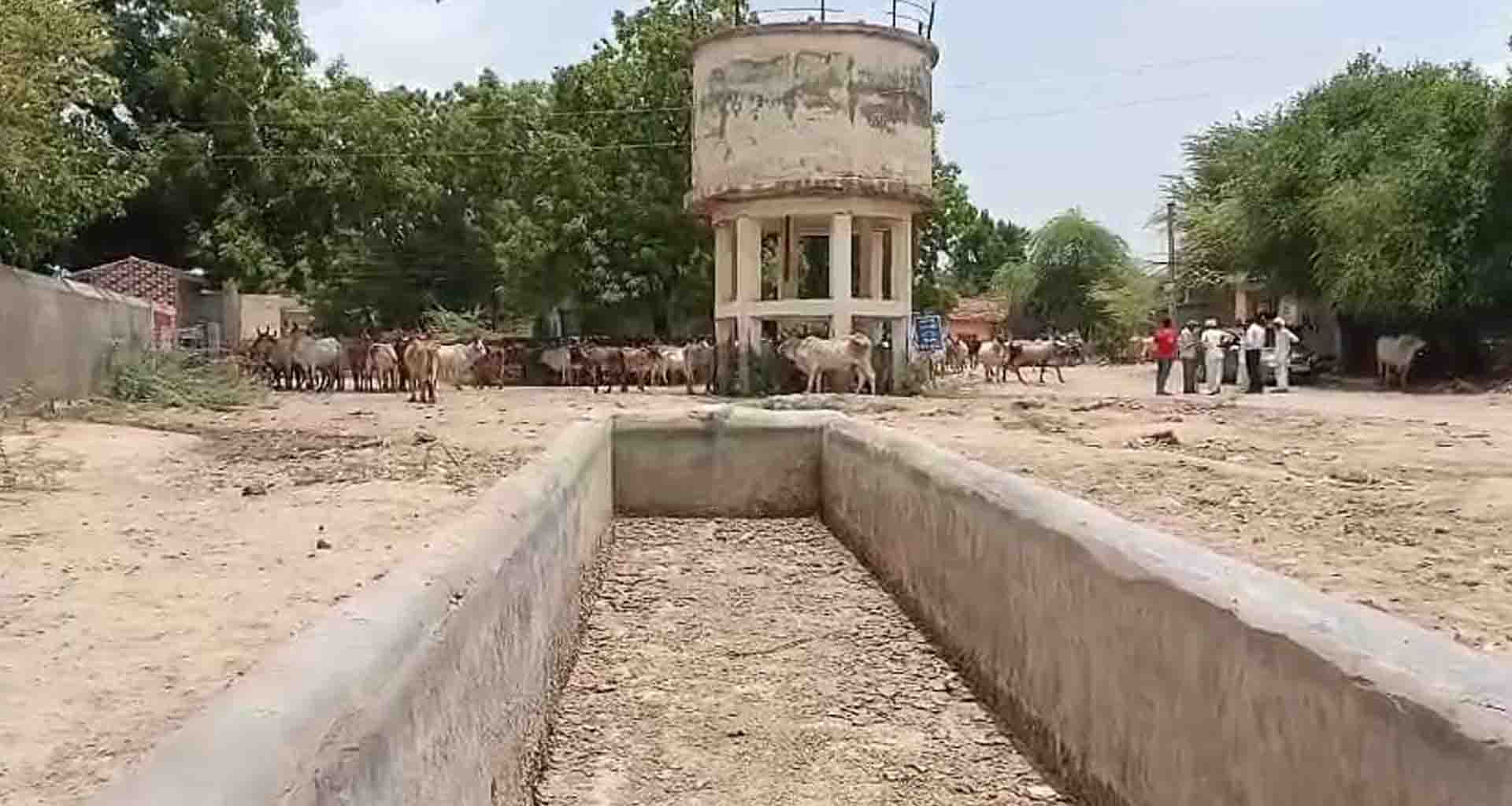 ભાભર; સફાઈના અભાવે ગ્રામ પંચાયત કચેરી ગંદકીમાં ગરકાવ,પાણી માટે પ્રજા અને પશુઓની રઝળપાટ