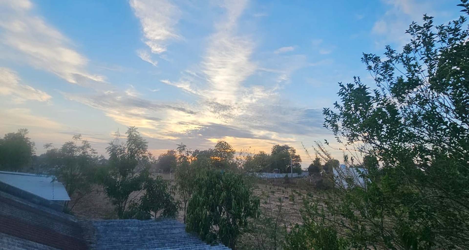 ખેડૂતો પર સંકટ : ડીસા પંથકમાં માવઠાની આગાહીથી 'જગતના તાત'ના જીવ અધ્ધર