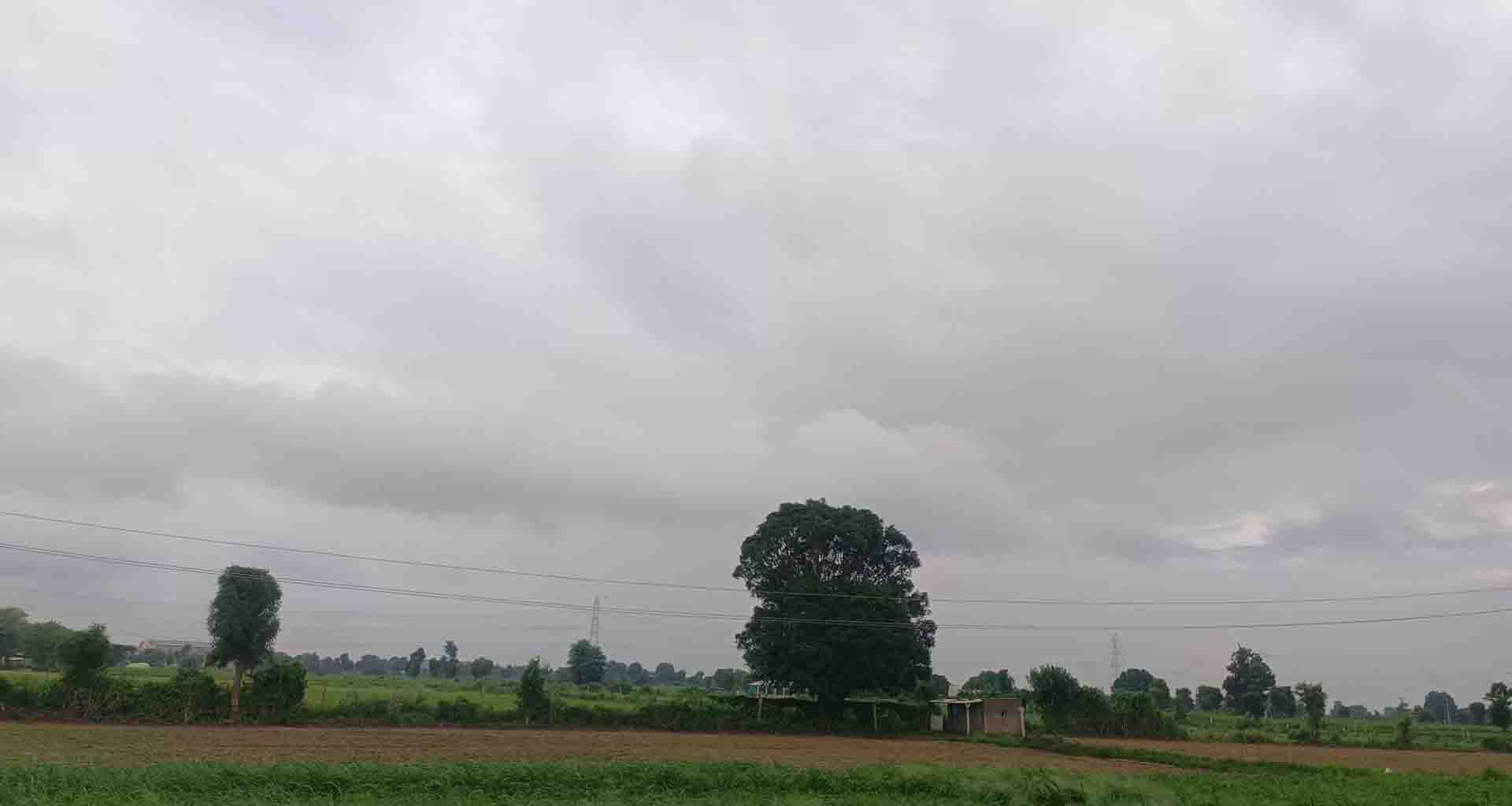 બનાસકાંઠા જિલ્લામાં વરસાદનું જોર ઘટયું; જિલ્લાના ત્રણ તાલુકાઓમાં સામાન્ય વરસાદ નોંધાયો