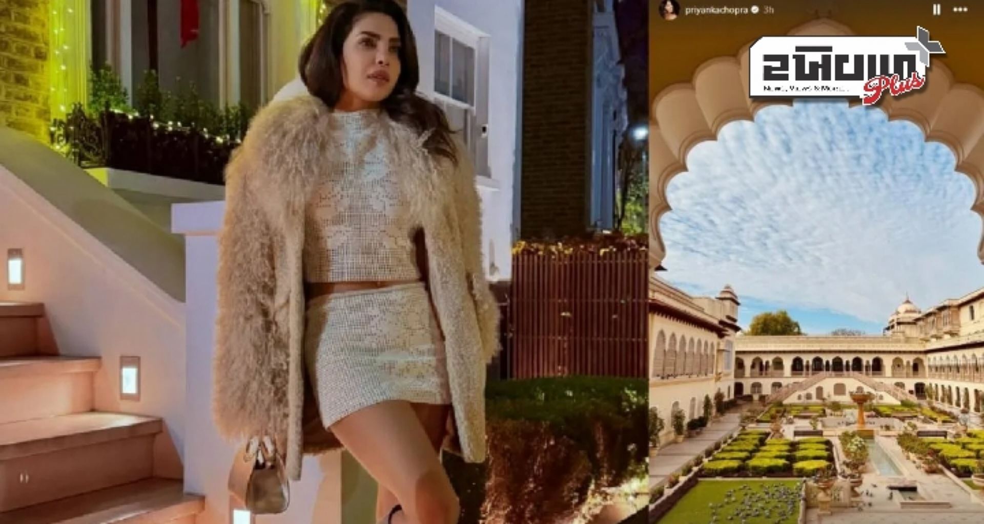 પ્રિયંકા ચોપરા જયપુર પહોંચી, સુંદર મોરના ફોટા શેર કર્યા, લાંબા સમય બાદ ભારતીય ફિલ્મમાં જોવા મળશે