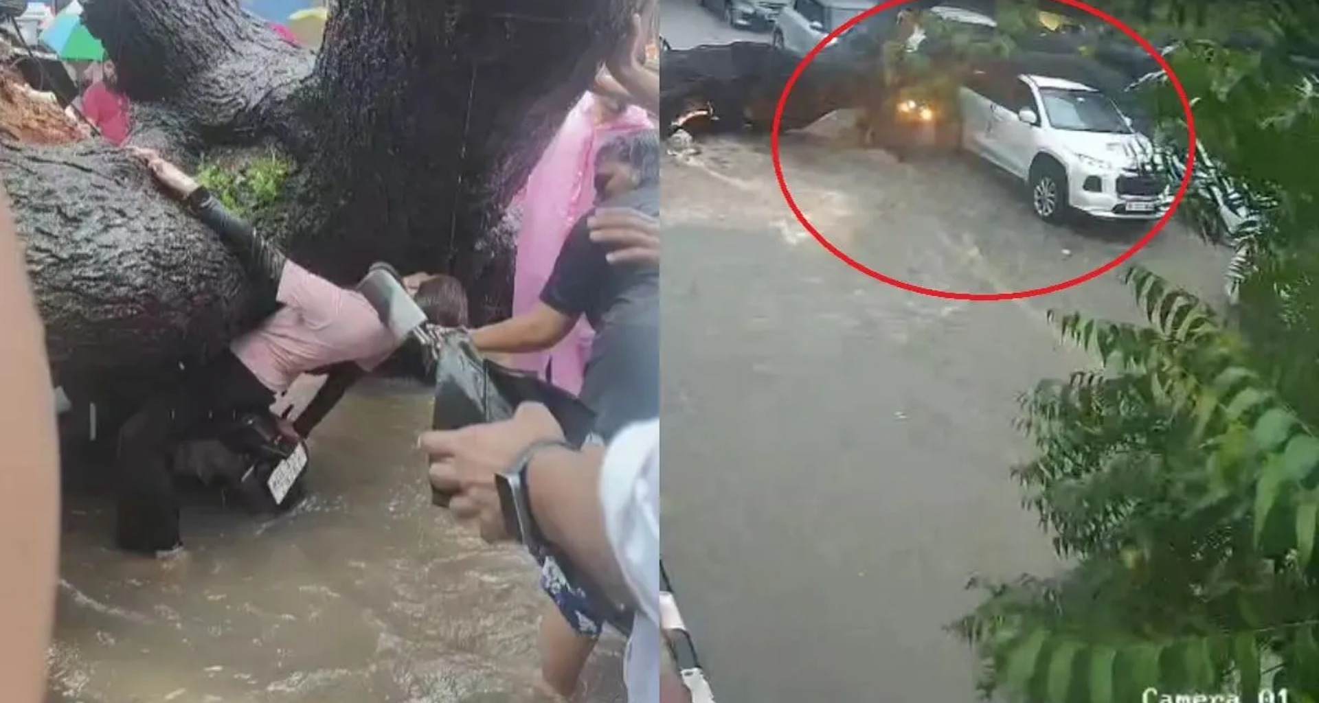 દિલ્હીમાં વરસાદ દરમિયાન બાઇક અને કાર પર ઝાડ પડ્યું, એકનું મોત; ભયાનક વીડિયો સામે આવ્યો