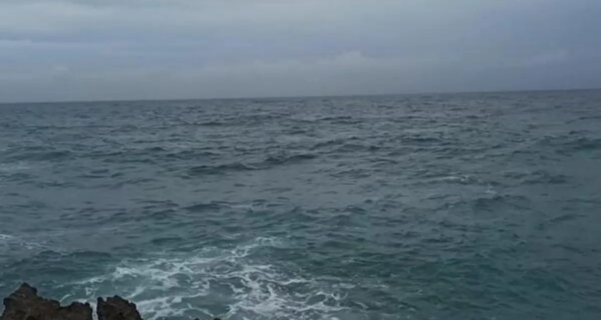 અમેરિકાએ કેરેબિયન સમુદ્રમાં ડ્રગ તસ્કરની બોટ પર ફિલ્મી શૈલીમાં કબજો કર્યો, જેમાં સેંકડો ડ્રગ પેકેટ જપ્ત કરવામાં આવ્યા