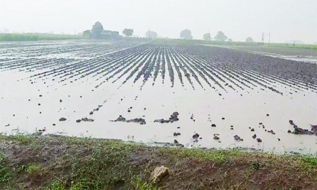 બનાસકાંઠા, પાલનપુર-ડીસા અને વડગામમાંભારે વરસાદ, ખેડૂતોની તકલીફમાં વધારો