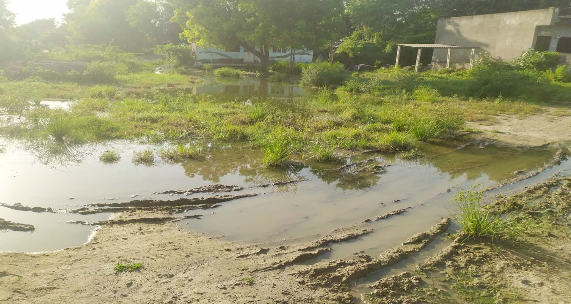 મહેસાણા નજીક યાત્રાધામ પાલોદરમાં ગટરના પાણી રસ્તા પર રેલાતા રોગચાળાનો ખતરો