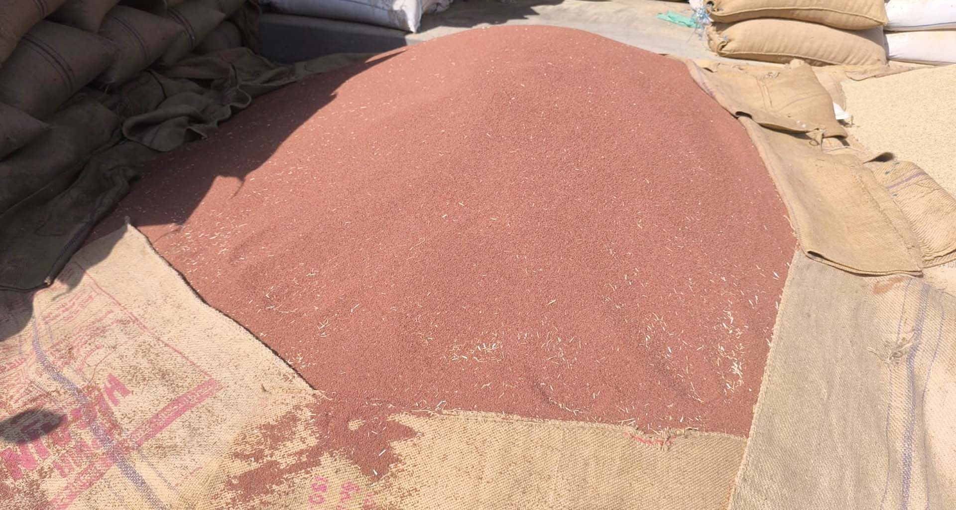 ઊંઝા ગંજ બજારમાં જીરુ વરિયાળીની આવકો વચ્ચે : અસારીયાની ૫૦ બોરીની આવક