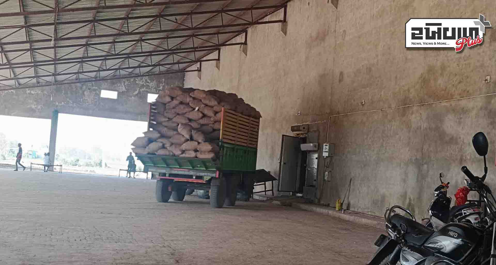 બટાકાની સીઝન; ટ્રેકટર ચાલકો માટે પોલીસે એડવાઈઝર જાહેર કરી રેડીયમ લગાવું ફરજીયાત