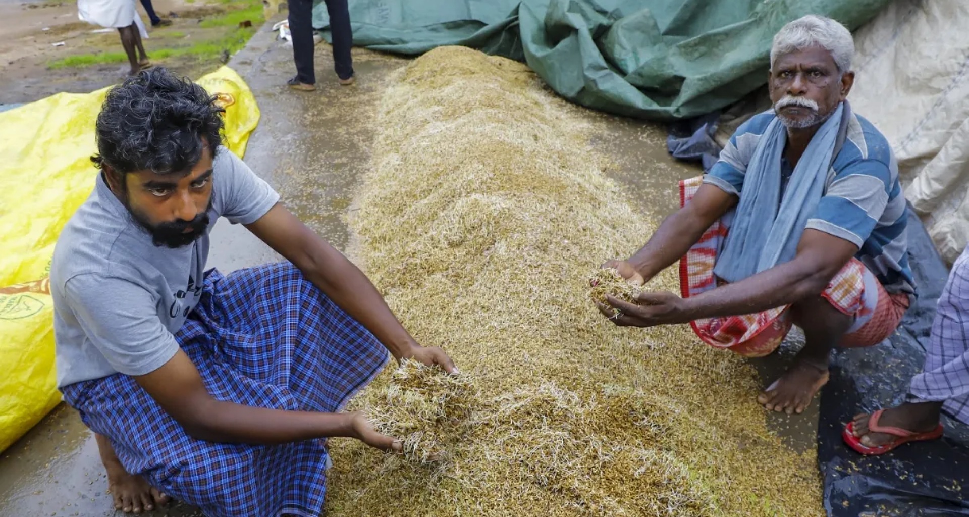 કમોસમી વરસાદથી પ્રભાવિત ખેડૂતો માટે ટૂંક સમયમાં રાહત પેકેજ જાહેર કરવામાં આવશે, મુખ્યમંત્રી ભૂપેન્દ્ર પટેલનું વચન