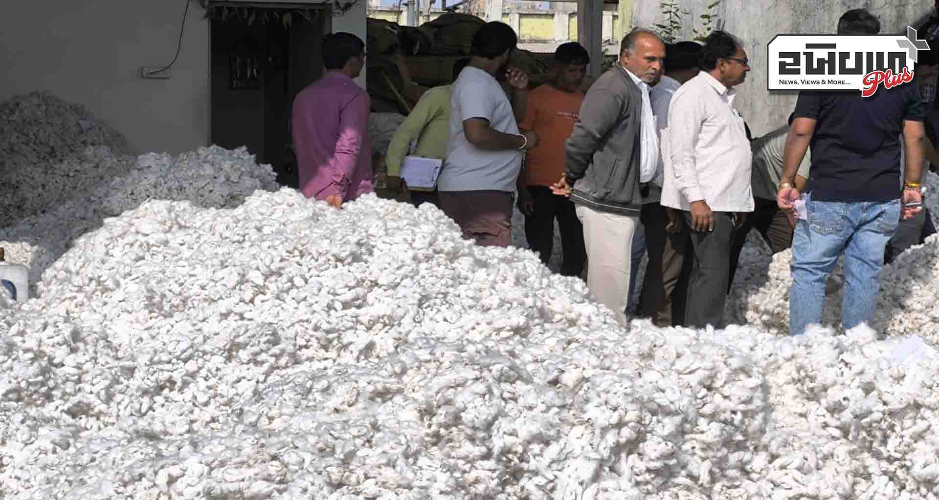 ઉનાવા માર્કેટયાર્ડ દૈનિક 8 ગાડી કપાસ સાથે એરંડા અને રાયડાની આવકો શરૂ