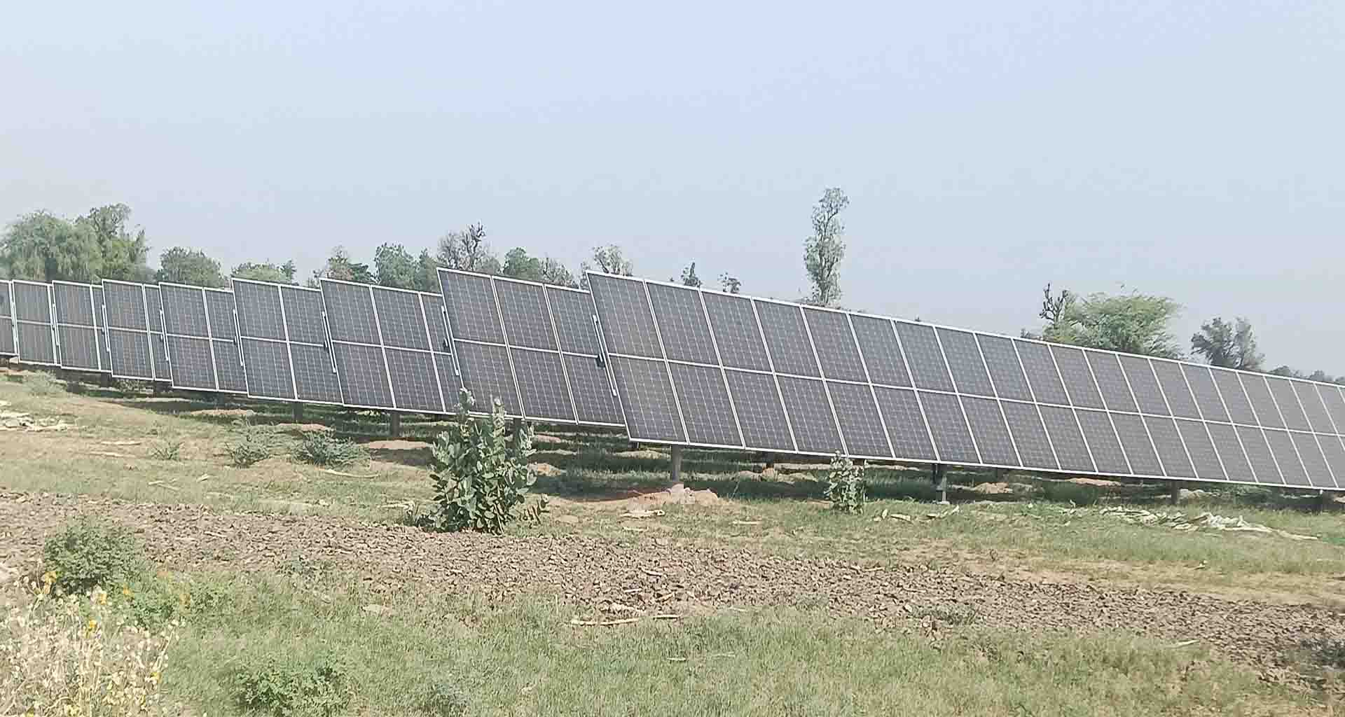 લાખણી-થરાદ વૃક્ષોનું નિકંદન; વિકાસના નામે લીલાછમ વૃક્ષોના વિનાશથી ખેડૂતો અને પર્યાવરણ પ્રેમીઓમાં રોષ