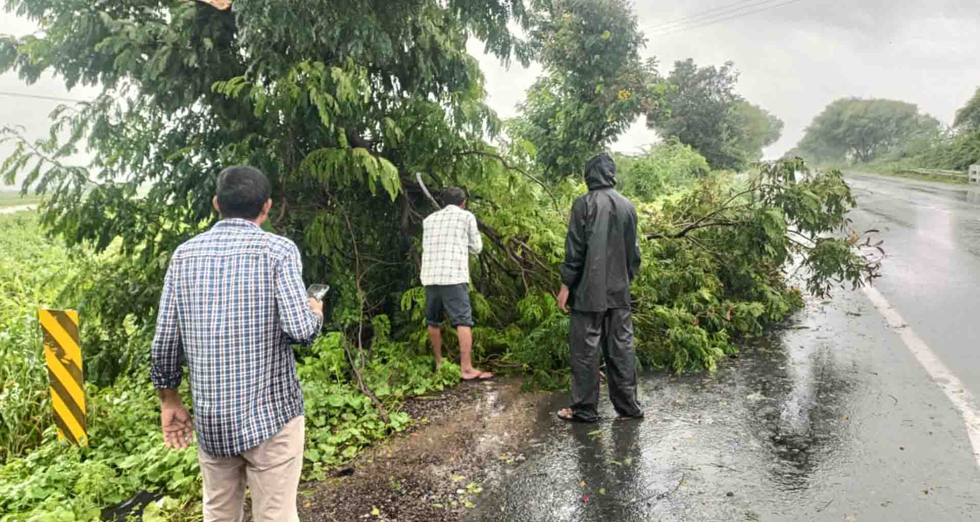 પાટણ વનવિભાગ અને માર્ગ મકાન વિભાગ દ્વારા રોડ પર પડી ગયેલા વૃક્ષોને દૂર કરી માર્ગો ખુલ્લા કરાયા