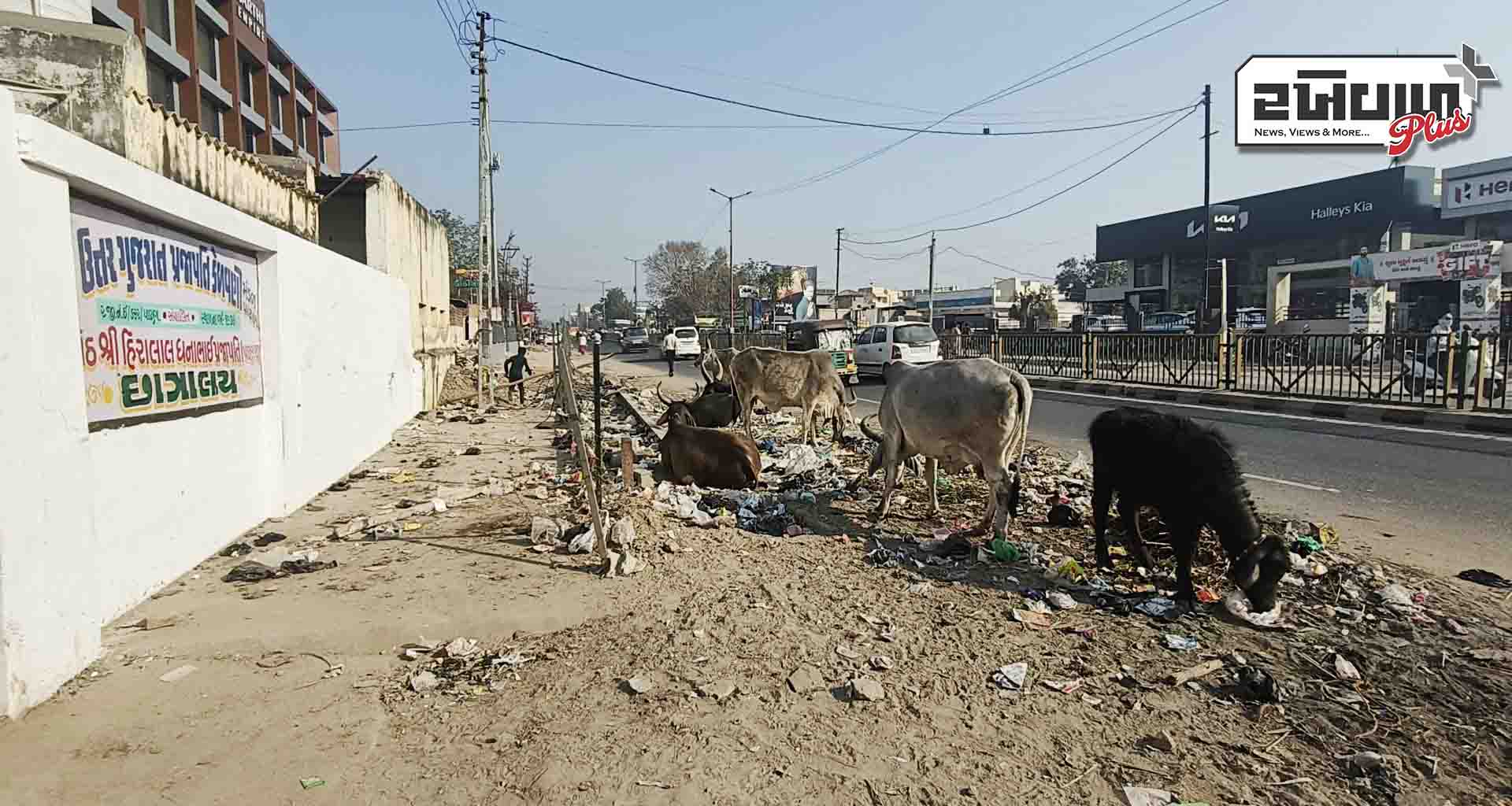 પાટણ - ડીસા હાઈવે રોડ પર પ્રજાપતિ છાત્રાલય આગળ ખડકાતી ગંદકીથી રોગચાળો ફેલાઈ તેવી દહેશત