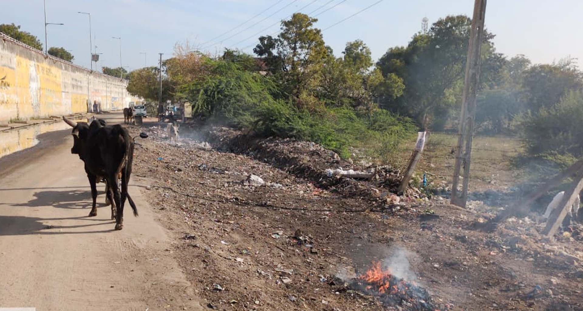 ભીલડીમાં નાયબ મુખ્યમંત્રીના આગમન પૂર્વે વ્યાપક સફાઈ અભિયાન હાથ ધરાયું