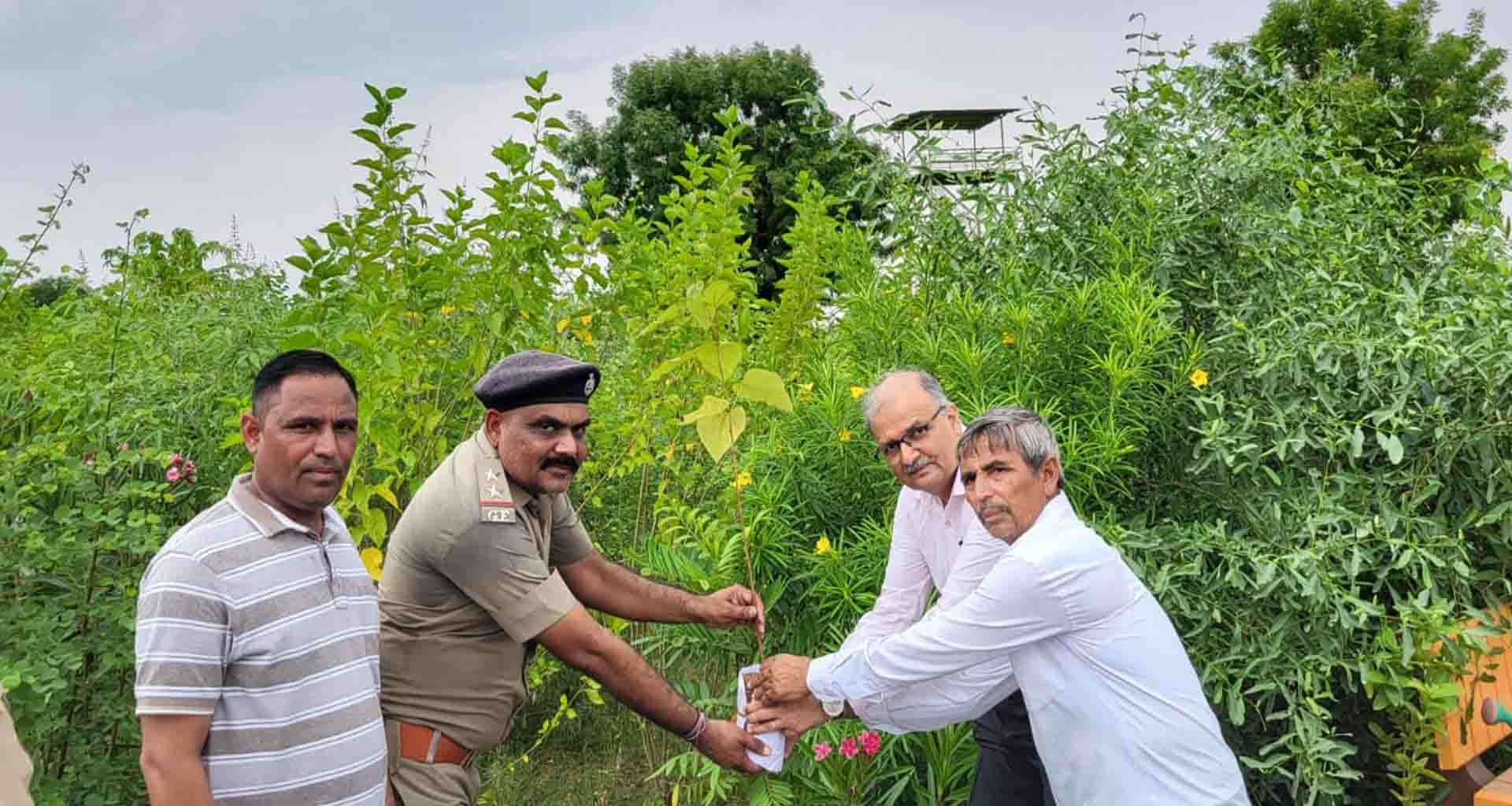 સંડેર મુકામે વન વિભાગ દ્વારા તૈયાર કરાયેલ વન કવચ ની મુલાકાત લેતા પાટણ કલેકટર