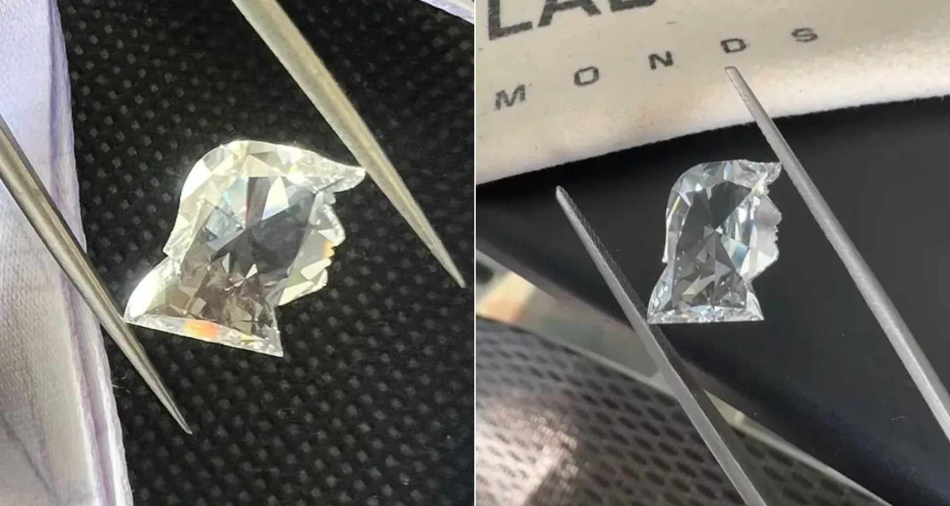 ડોનાલ્ડ ટ્રમ્પનો ચહેરો 4.7 કેરેટના હીરા પર કોતર્યો, સુરતના જ્વેલર્સે 2 મહિનામાં કર્યો તૈયાર; અમેરિકી રાષ્ટ્રપતિને આપશે ભેટ