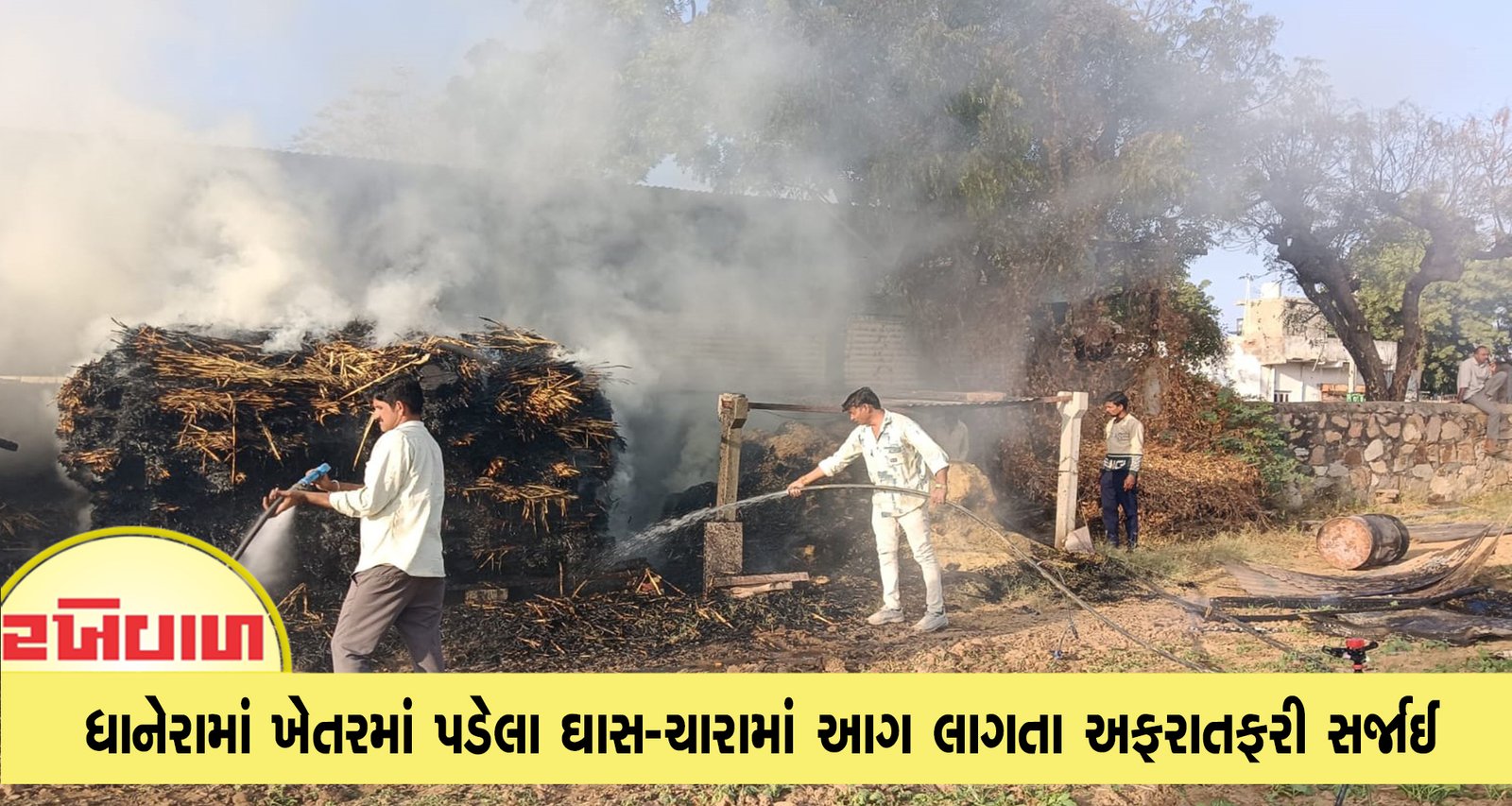ધાનેરામાં ખેડૂતના ખેતરમાં પડેલા ઘાસ-ચારામાં આગ લાગતા અફરાતફરી સર્જાઈ