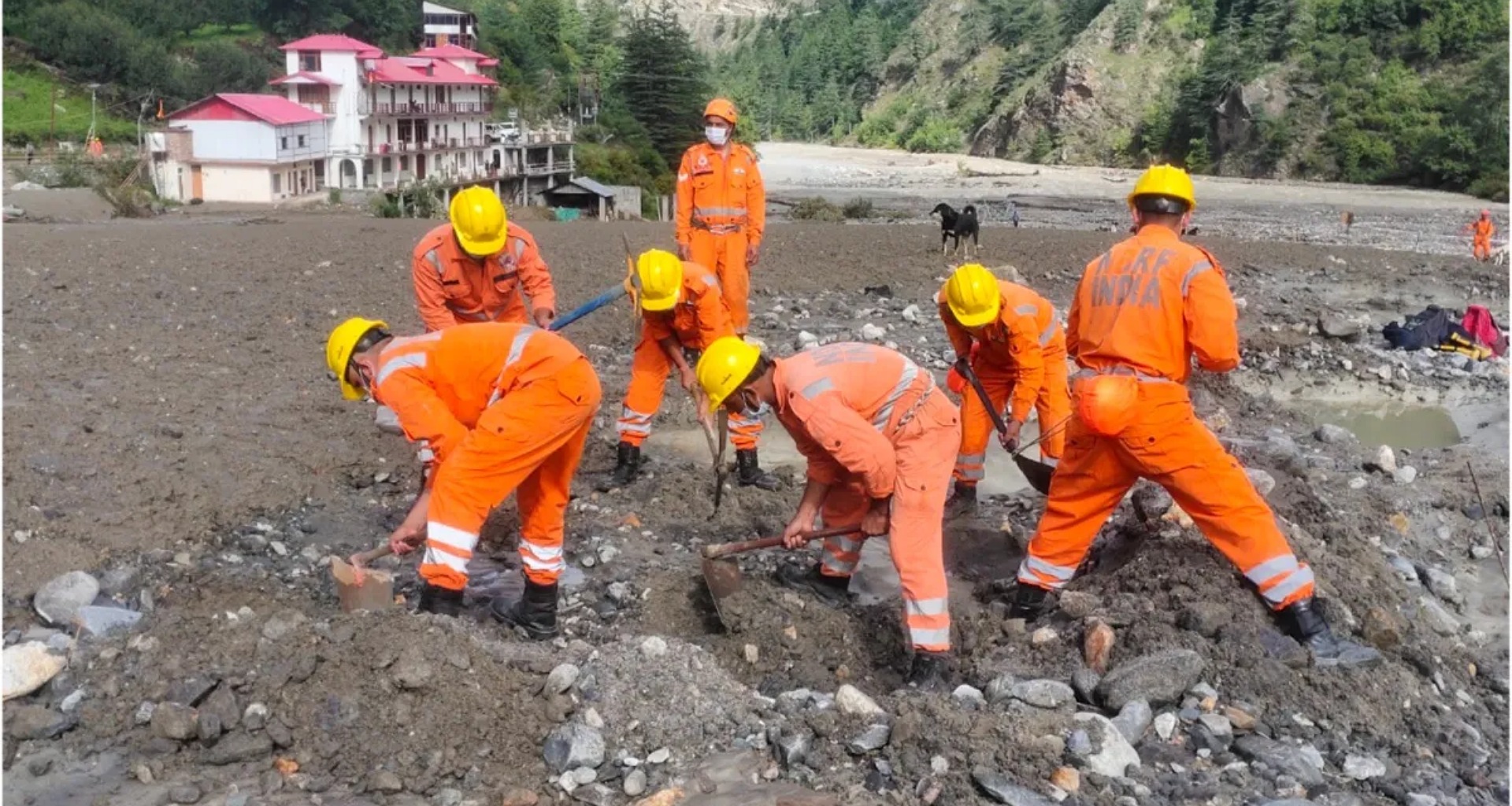 હિમાચલ પ્રદેશમાં વરસાદને કારણે 398 રસ્તા બંધ, શિમલામાં વૃક્ષો ધરાશાયી થવાથી વાહનોને નુકસાન