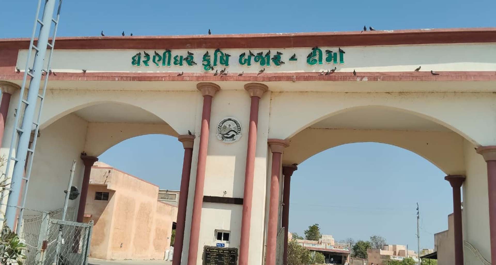 ધરણીધર કૃષિ બજાર ઢીમામાં હોળી-ધૂળેટી નિમિત્તે માર્કેટયાર્ડ ચાર દિવસ માર્કેટયાર્ડ બંધ રહેશે