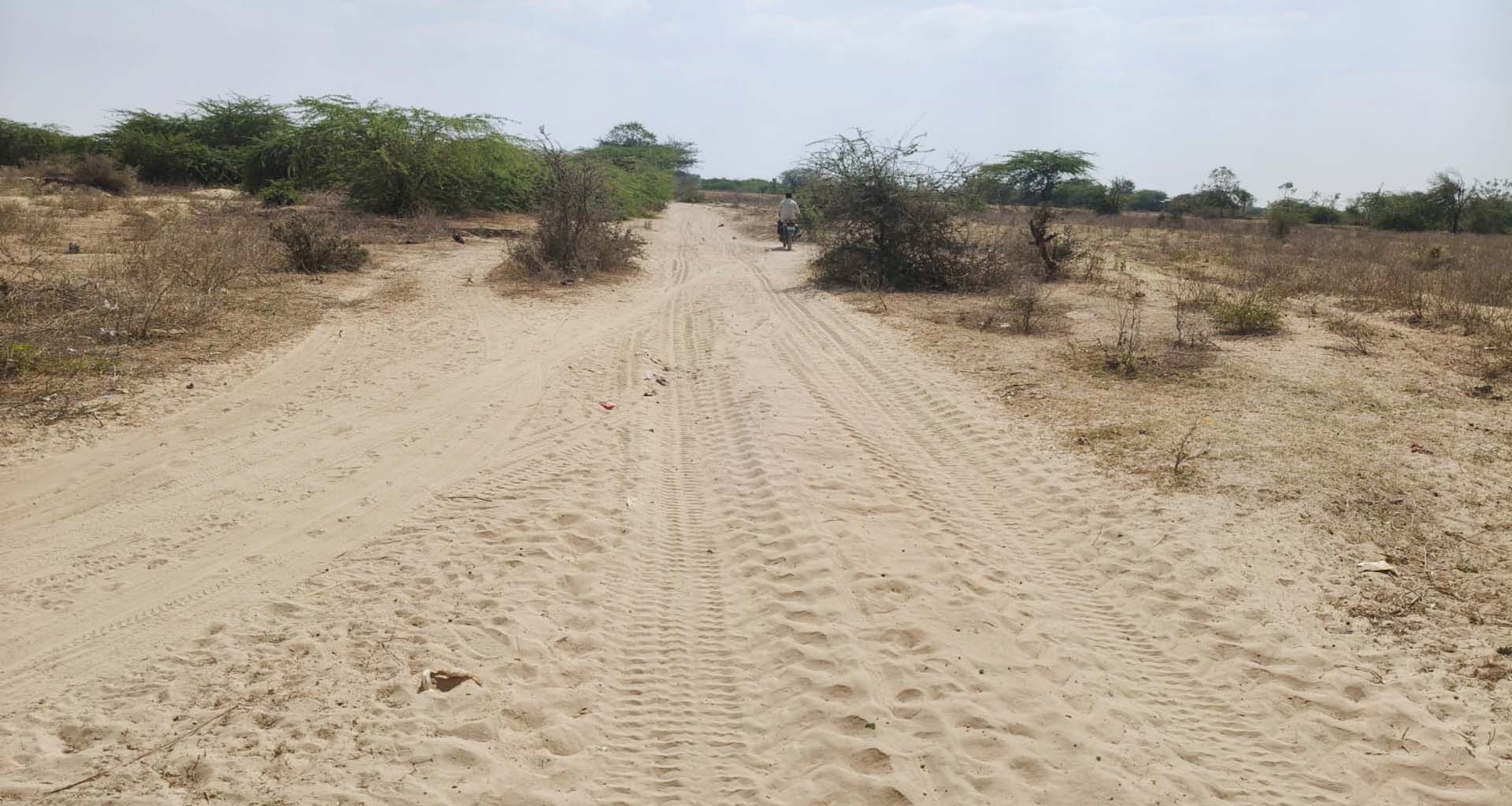 પાટણના વામૈયાથી કમલીવાડા વચ્ચે આવતી સરસ્વતી નદી ઉપર ડીપ બનાવવા માંગ ઉઠી