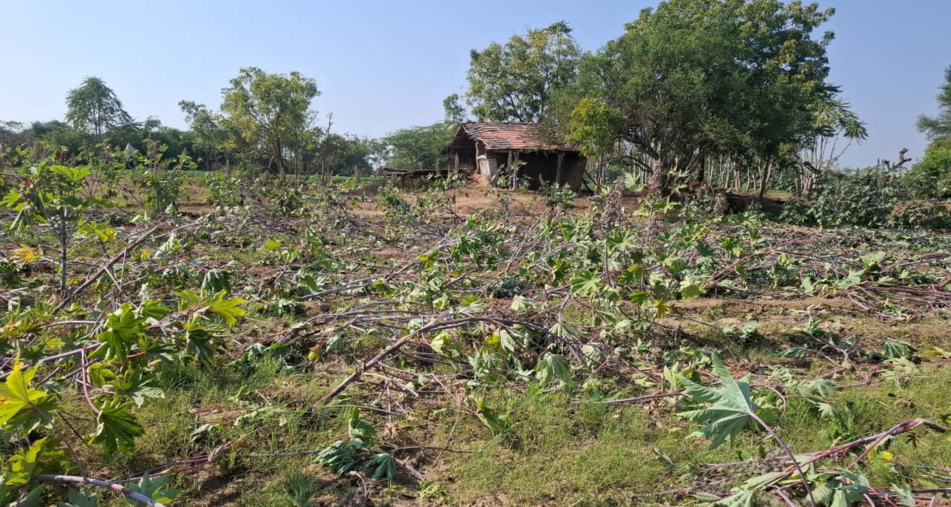 કાંકરેજ તાલુકાના આંબલુણ ગામના સરકારી જમીનમાં દબાણ દૂર કરાયા