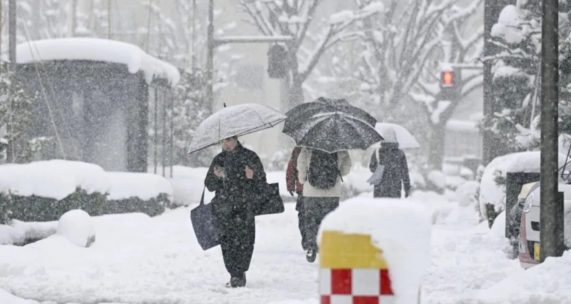 ઉત્તર જાપાનમાં ભારે હિમવર્ષાને કારણે મૃત્યુની ચાદર છવાઈ, 35 લોકોના મોત